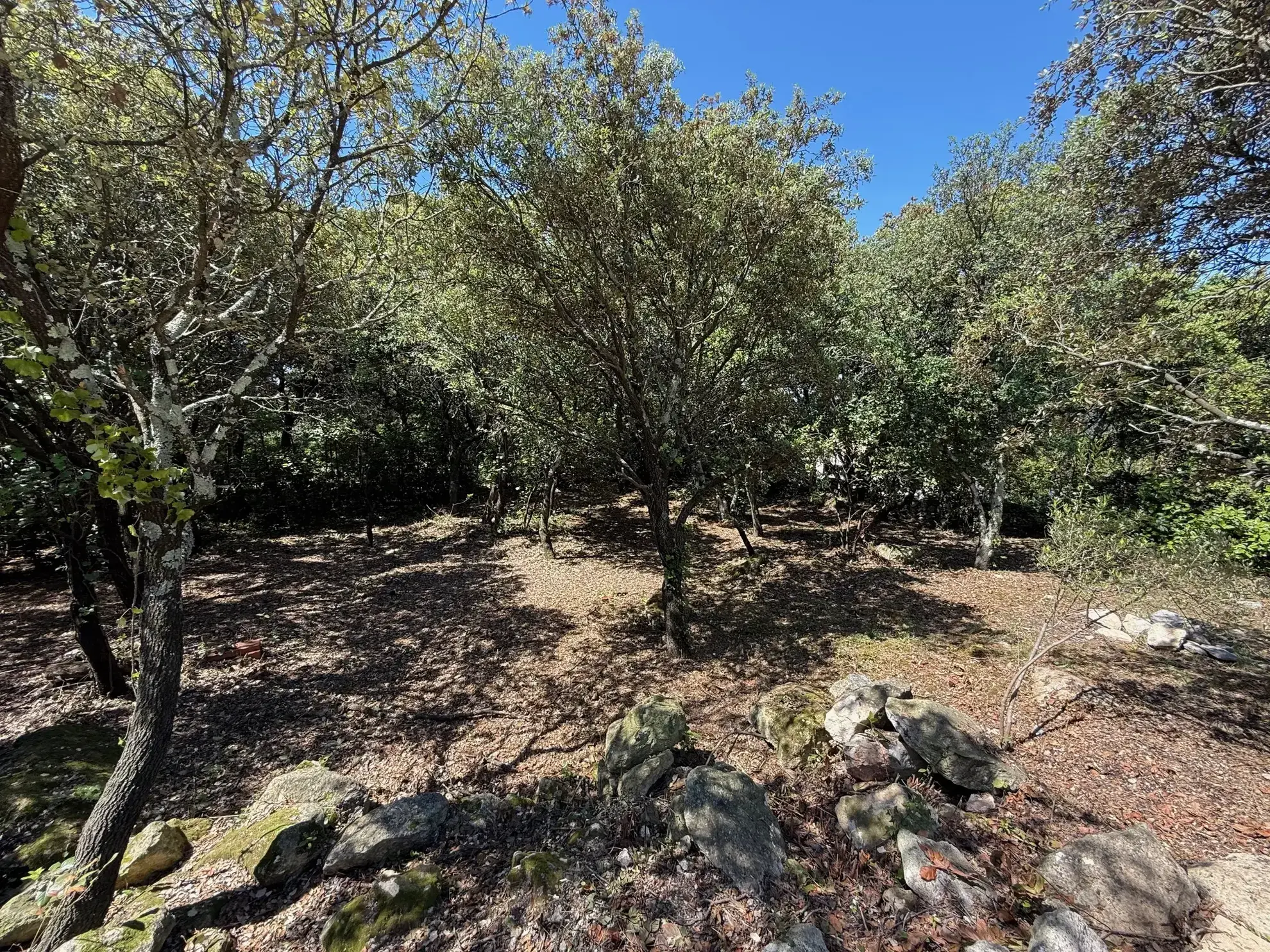 Terrain constructible de 1000 m² à VILLEVIELLE avec piscine et vue dégagée