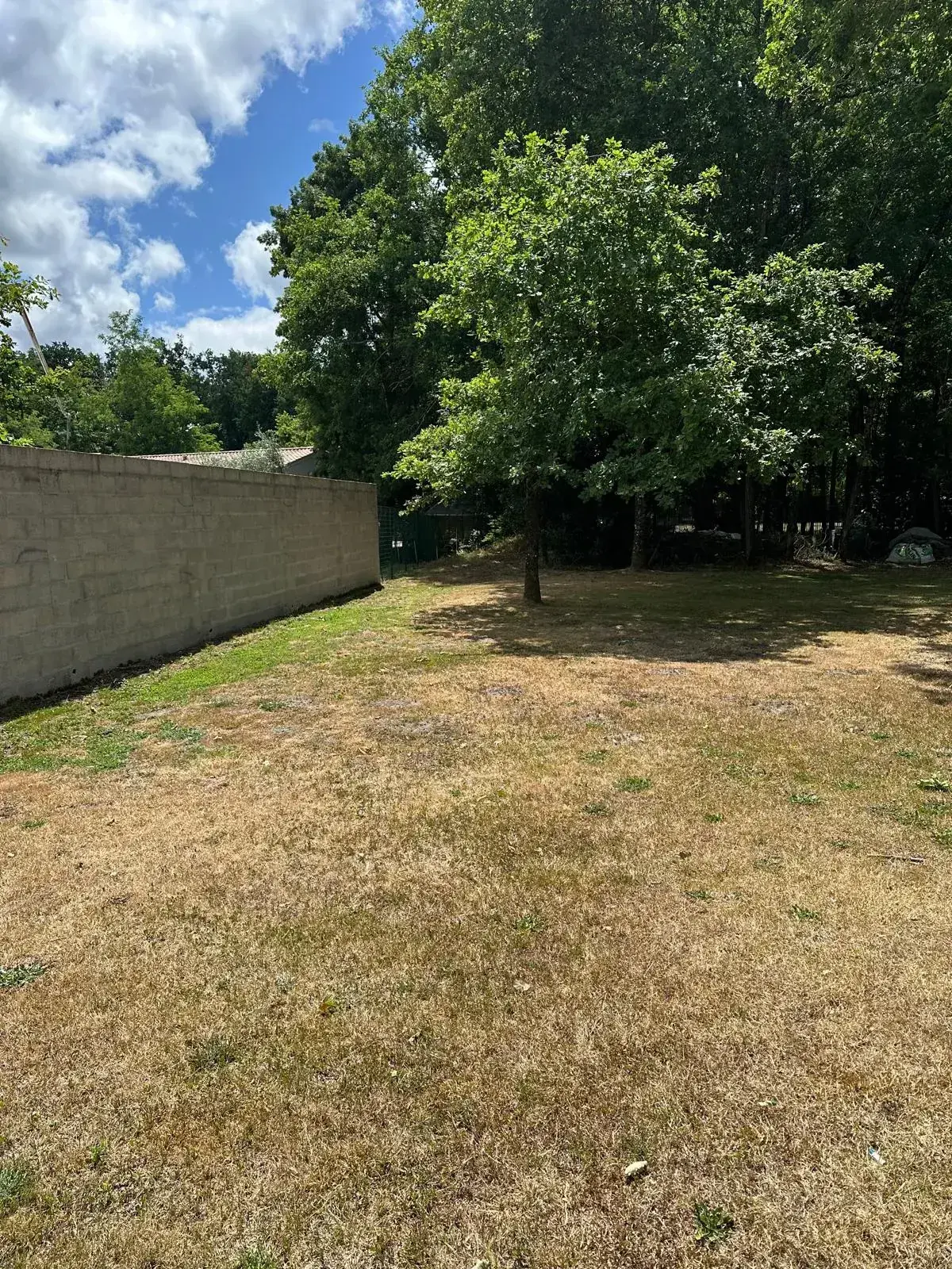 Terrain constructible de 1000 m² à Avensan - Environnement verdoyant 