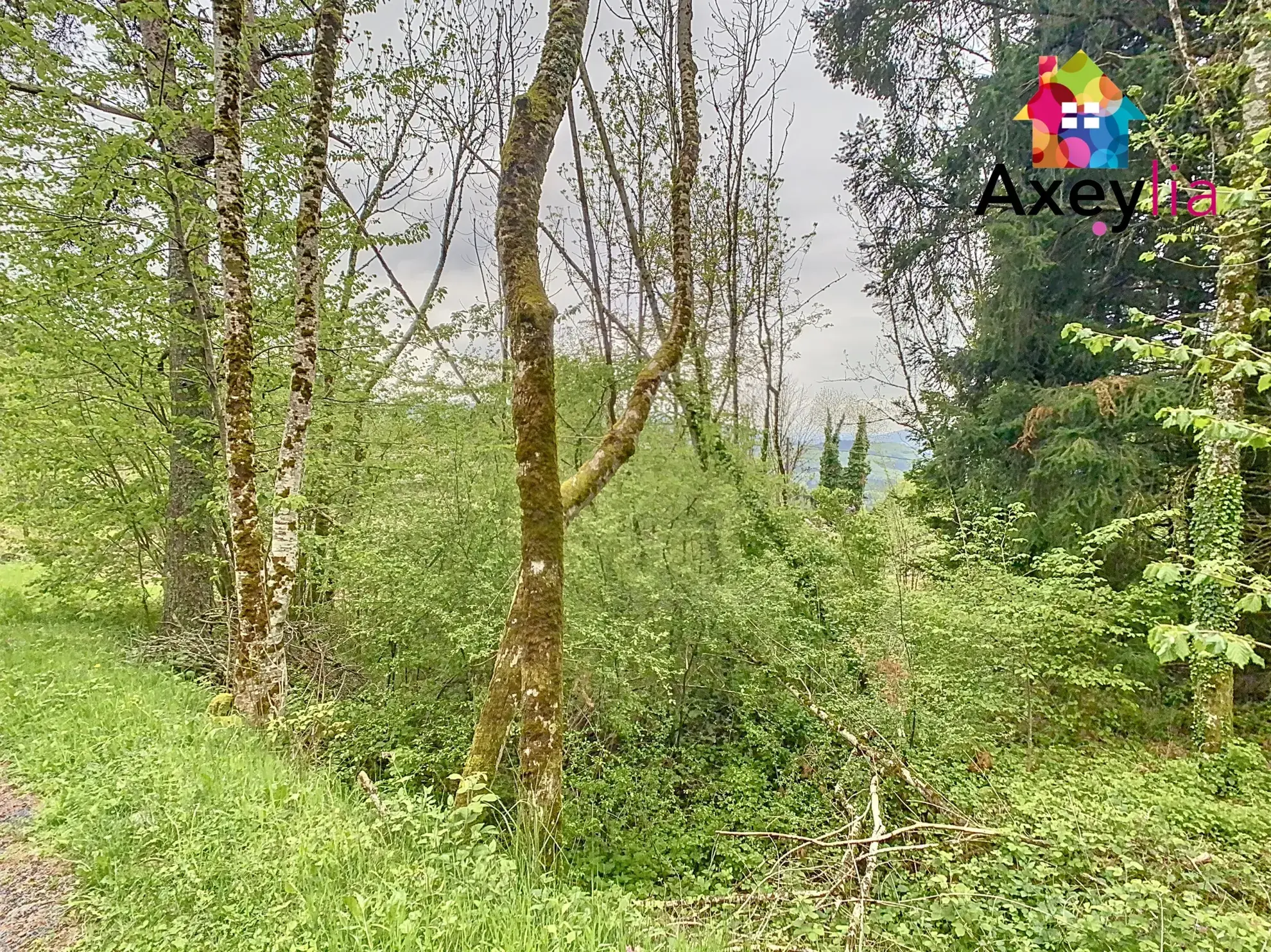 Maison en pierres à rénover avec dépendance, jardin et garage à Saint-Nicolas-des-Biefs 