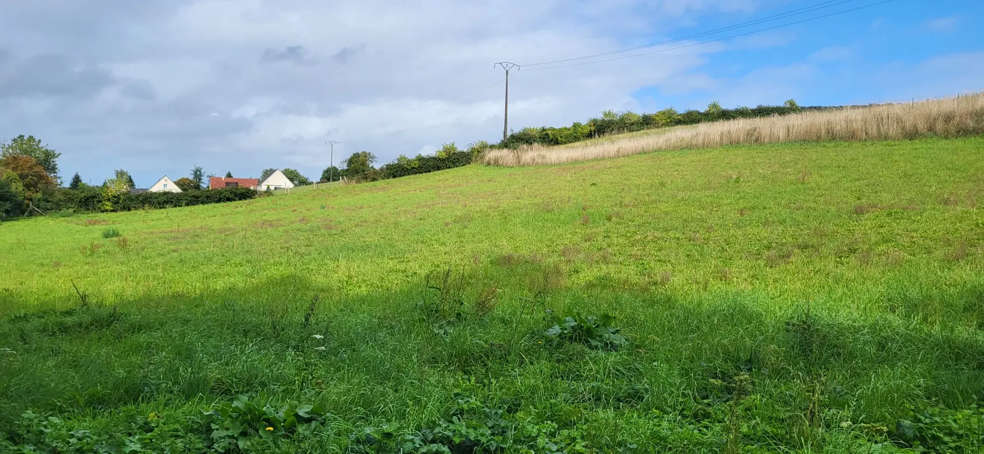 Terrain constructible de 5118 m² à Torcy-le-Petit, environnement rural paisible 