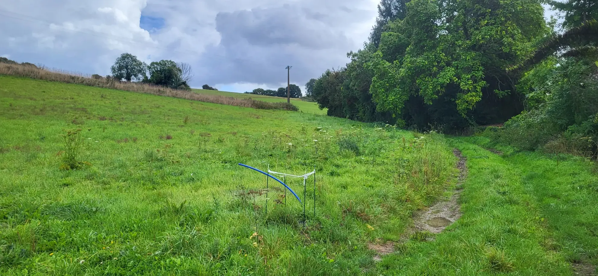 Terrain constructible de 5118 m² à Torcy-le-Petit, environnement rural paisible 