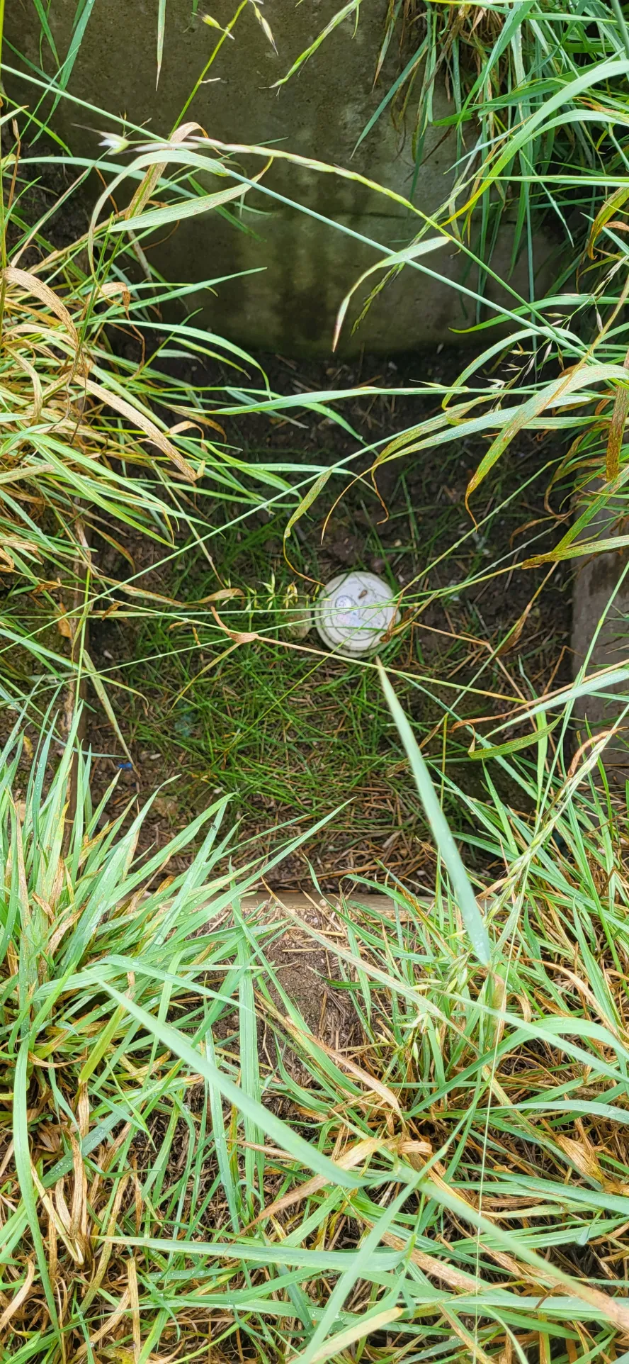 Terrain constructible de 5118 m² à Torcy-le-Petit, environnement rural paisible 