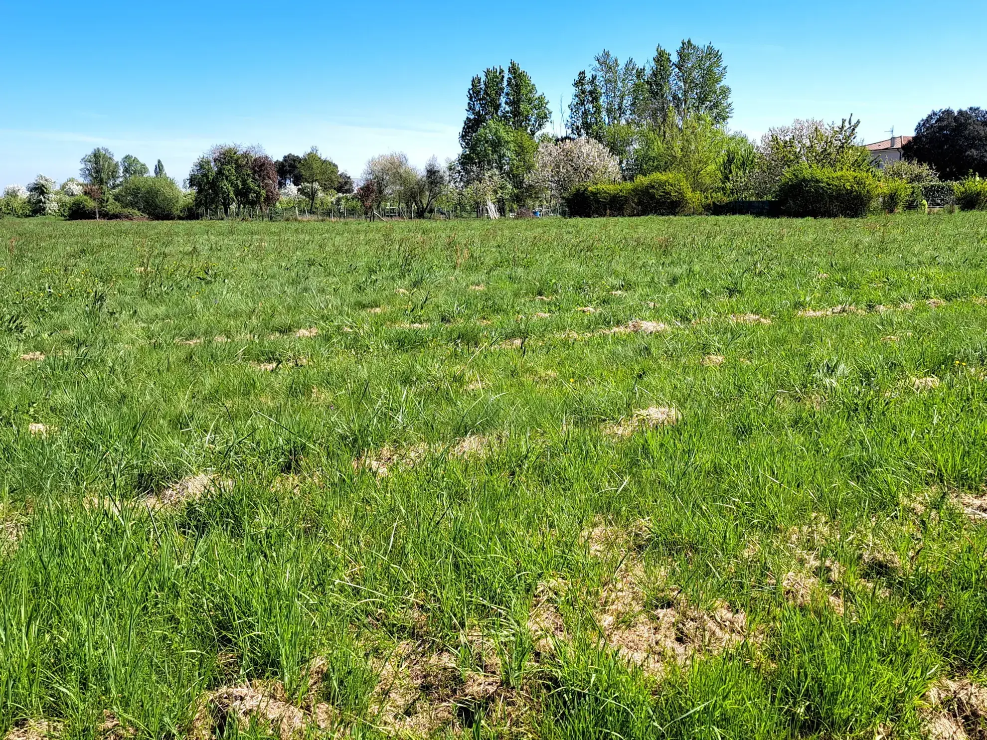 Terrain à bâtir de 1155 m² à Gardonne – Idéal pour votre projet immobilier
