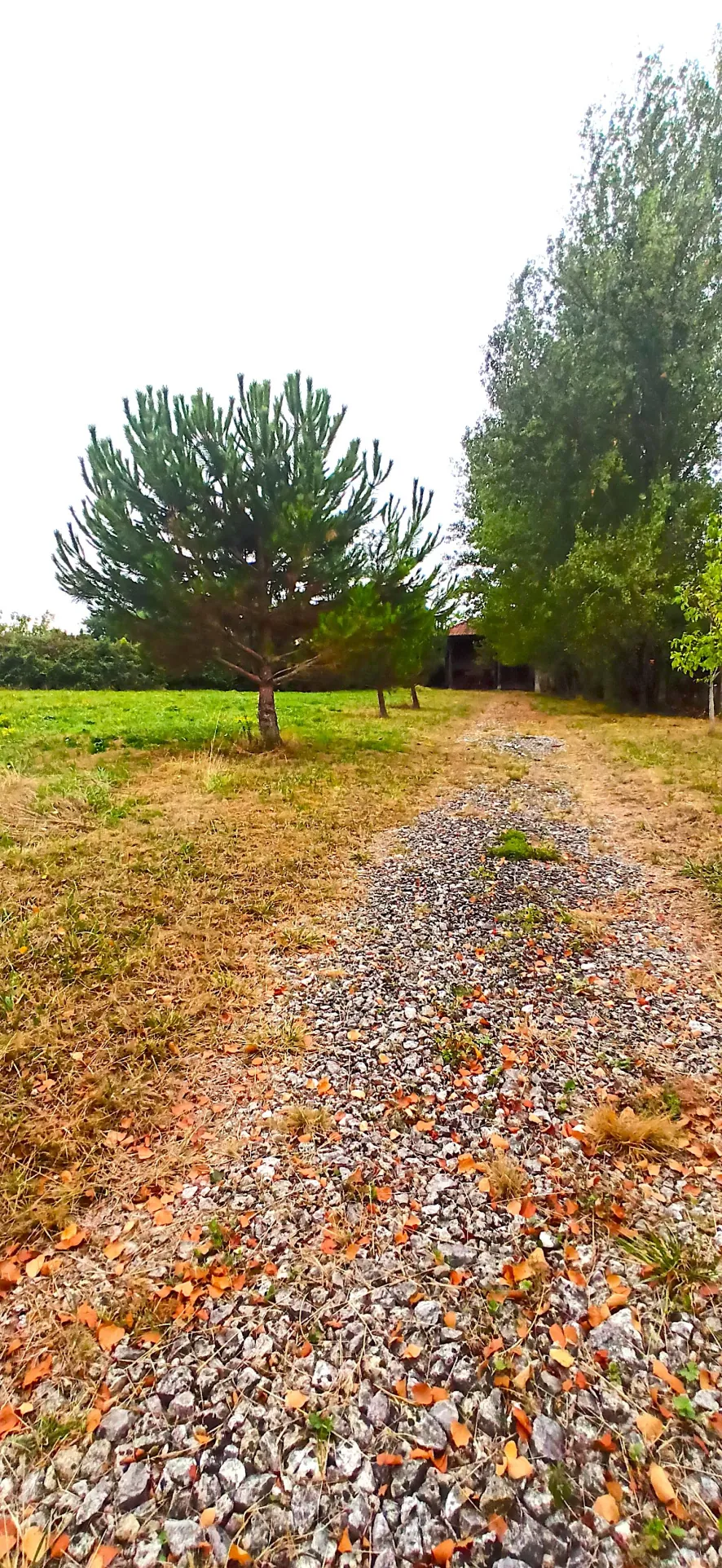 Magnifique grange en pierre avec terrain de 3800 m² à Villeneuve-sur-Lot 