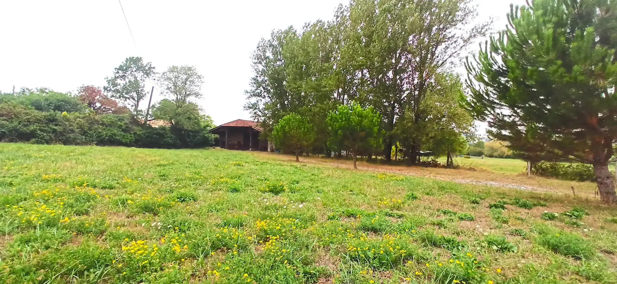 Magnifique grange en pierre avec terrain de 3800 m² à Villeneuve-sur-Lot 