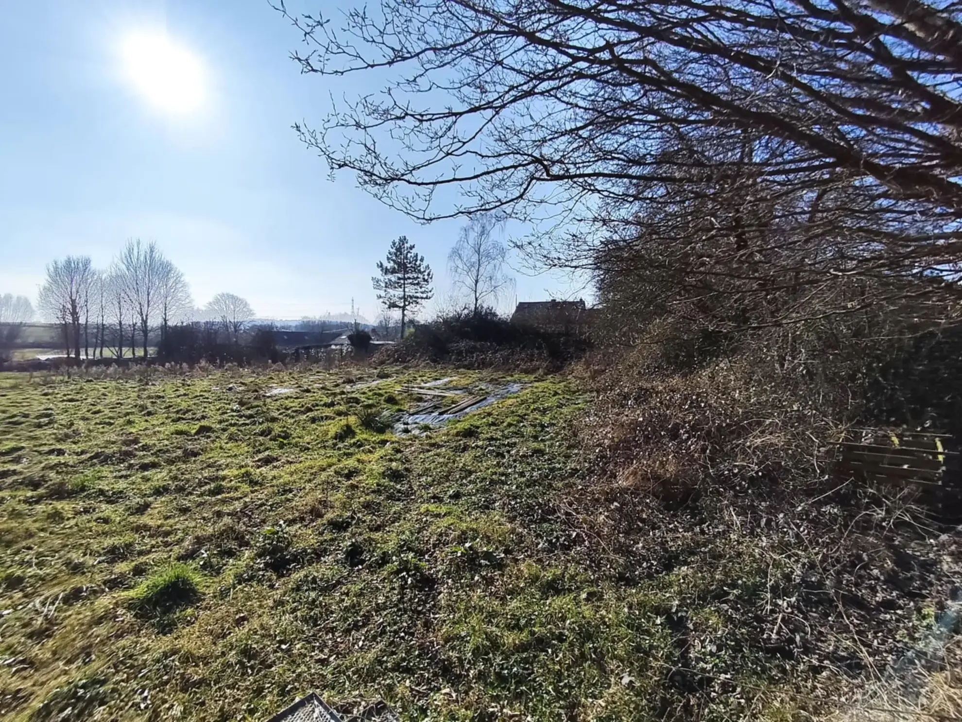 Terrain constructible de 12 000 m² à Hargnies, calme, viabilisé, avec verger et mare 