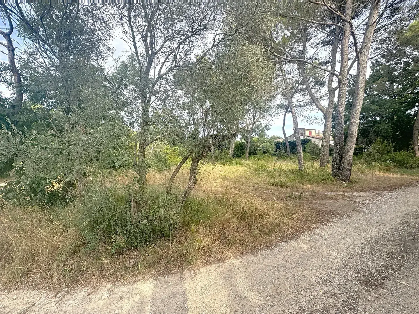 Terrain à bâtir de 1700 m² à Bollène, Viabilisé et Borné 