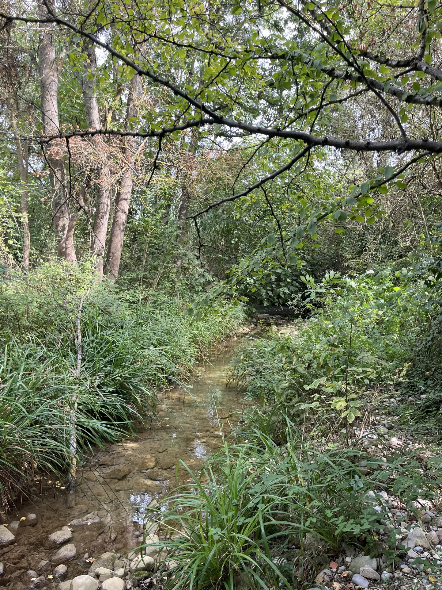 Villa de plain-pied avec jardin à Limoux – 2 chambres, garage, vue campagne 