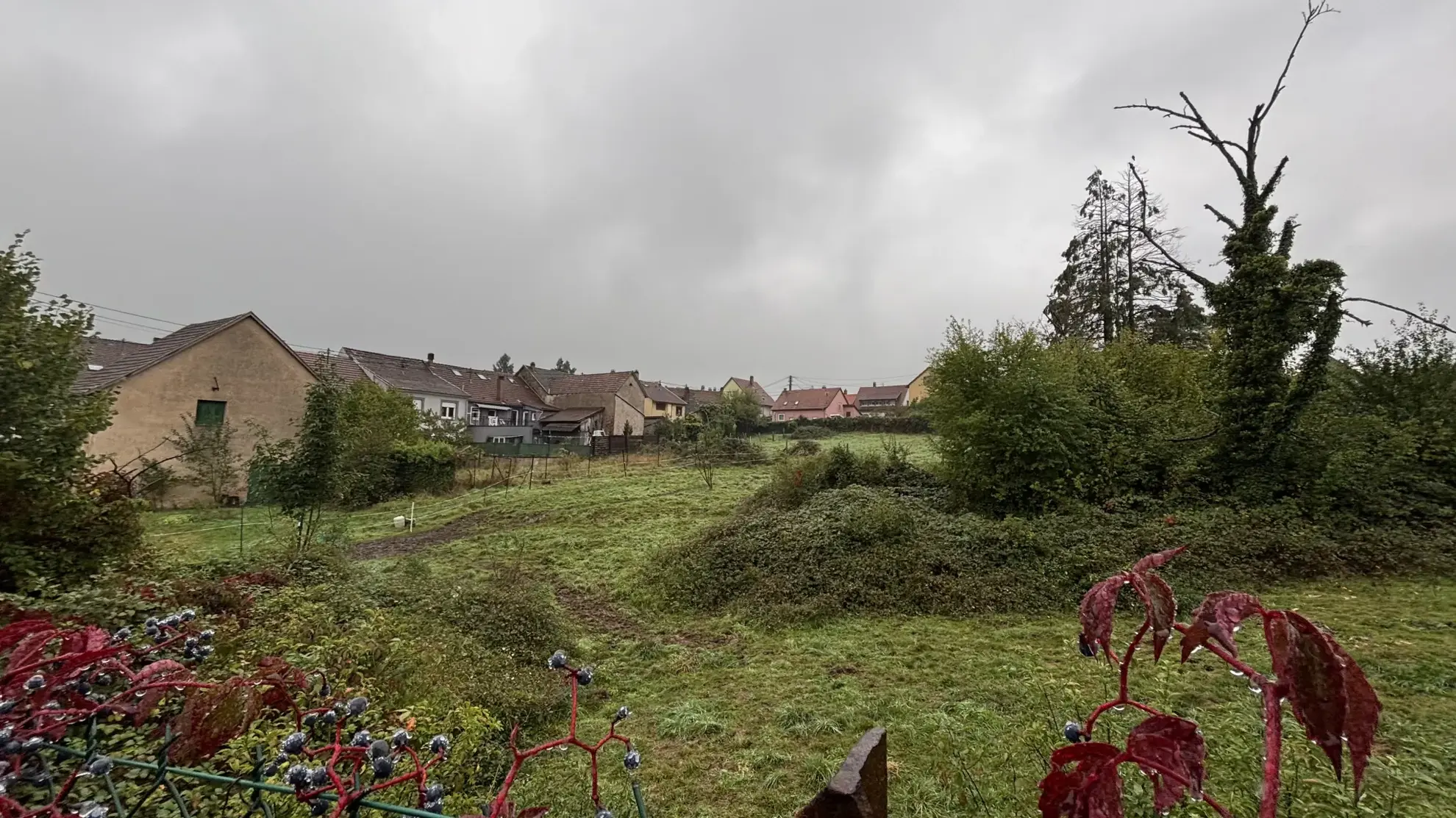 Terrain de 2800 m² à vendre à Still - Partiellement constructible