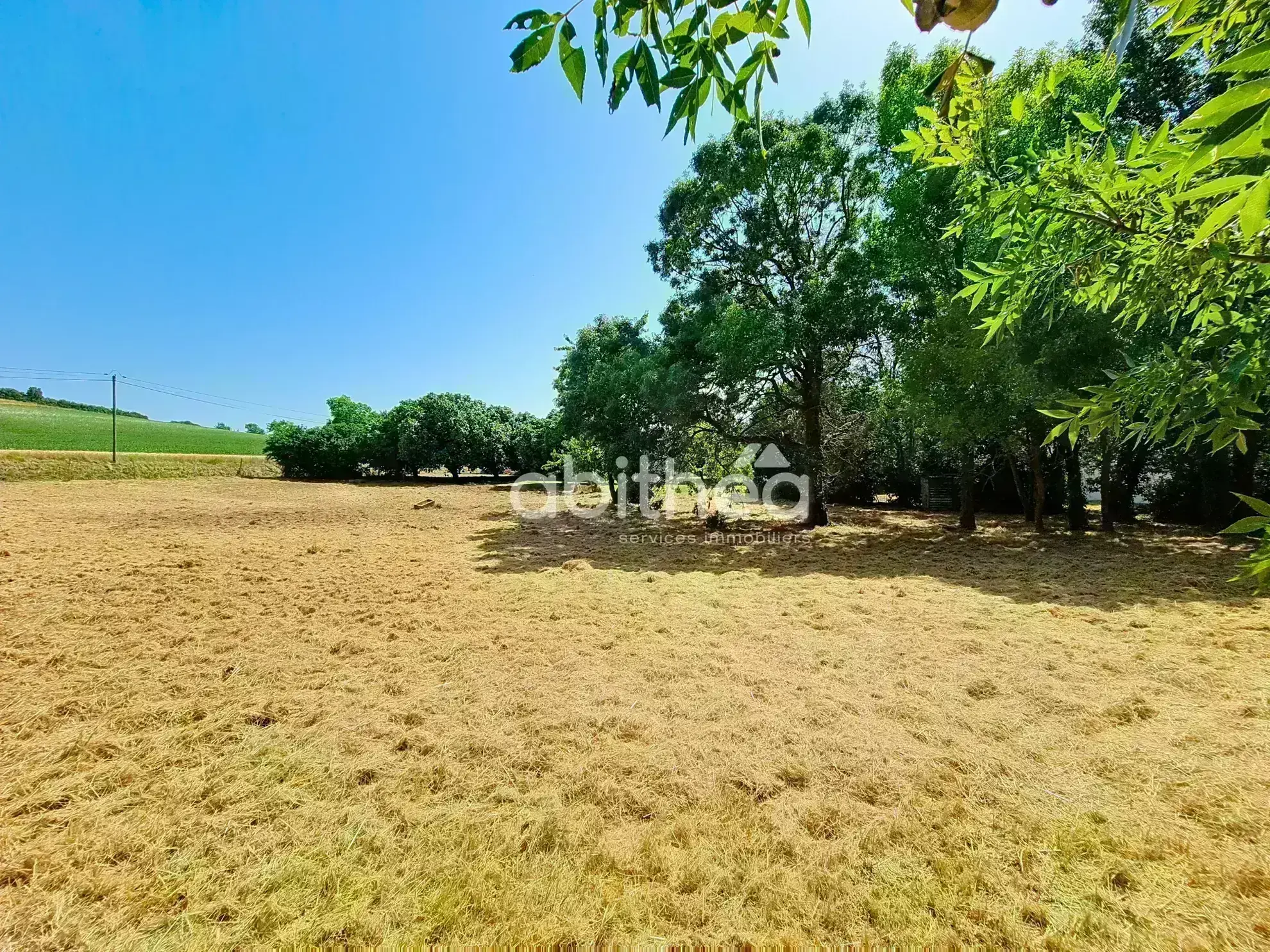 Terrain constructible viabilisé à Floirac de 2231 m² – Secteur calme avec commodités à proximité 