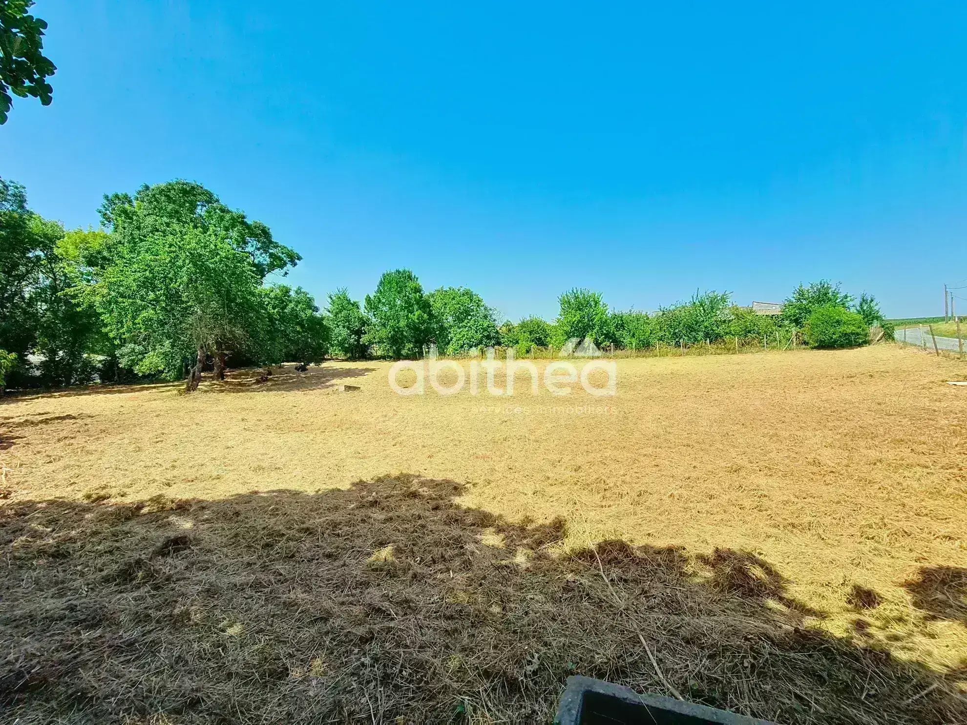 Terrain constructible viabilisé à Floirac de 2231 m² – Secteur calme avec commodités à proximité 