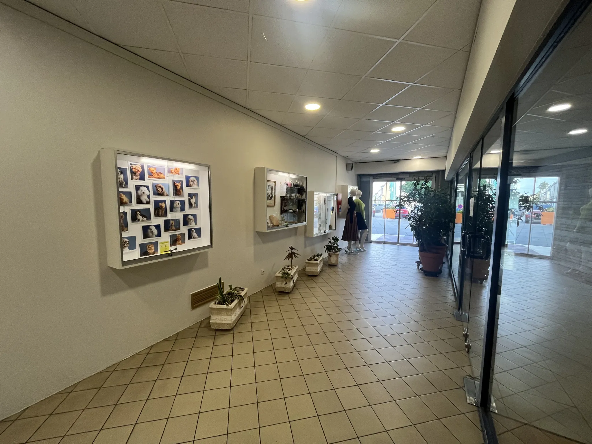 Galerie marchande à Sablé-sur-Sarthe avec 11 locaux commerciaux 