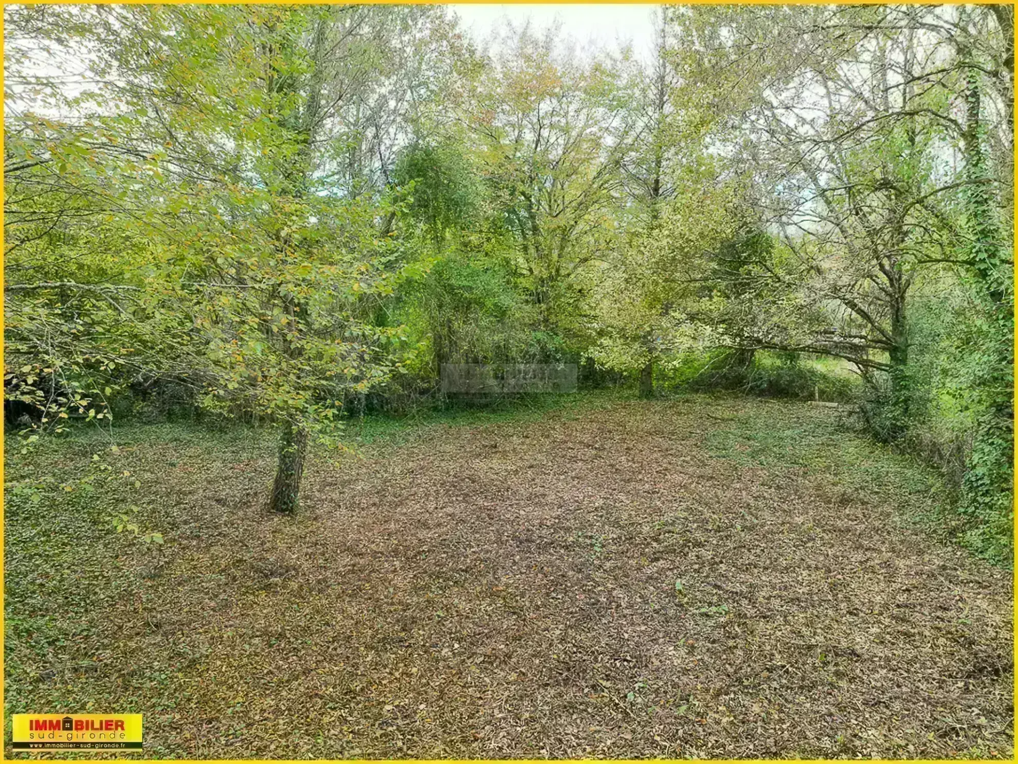 Terrain constructible atypique à Castres-Gironde à vendre 