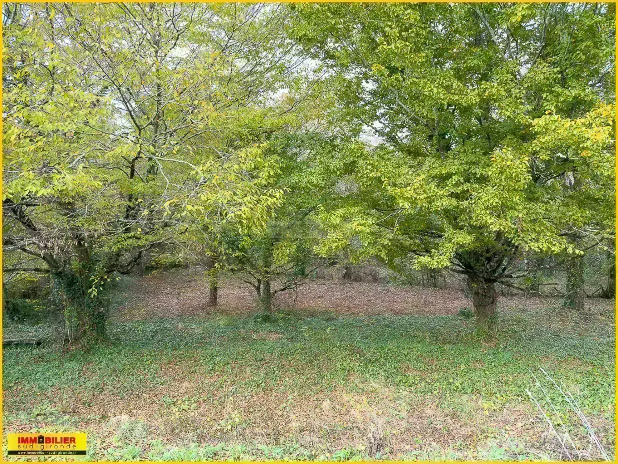 Terrain constructible atypique à Castres-Gironde à vendre 