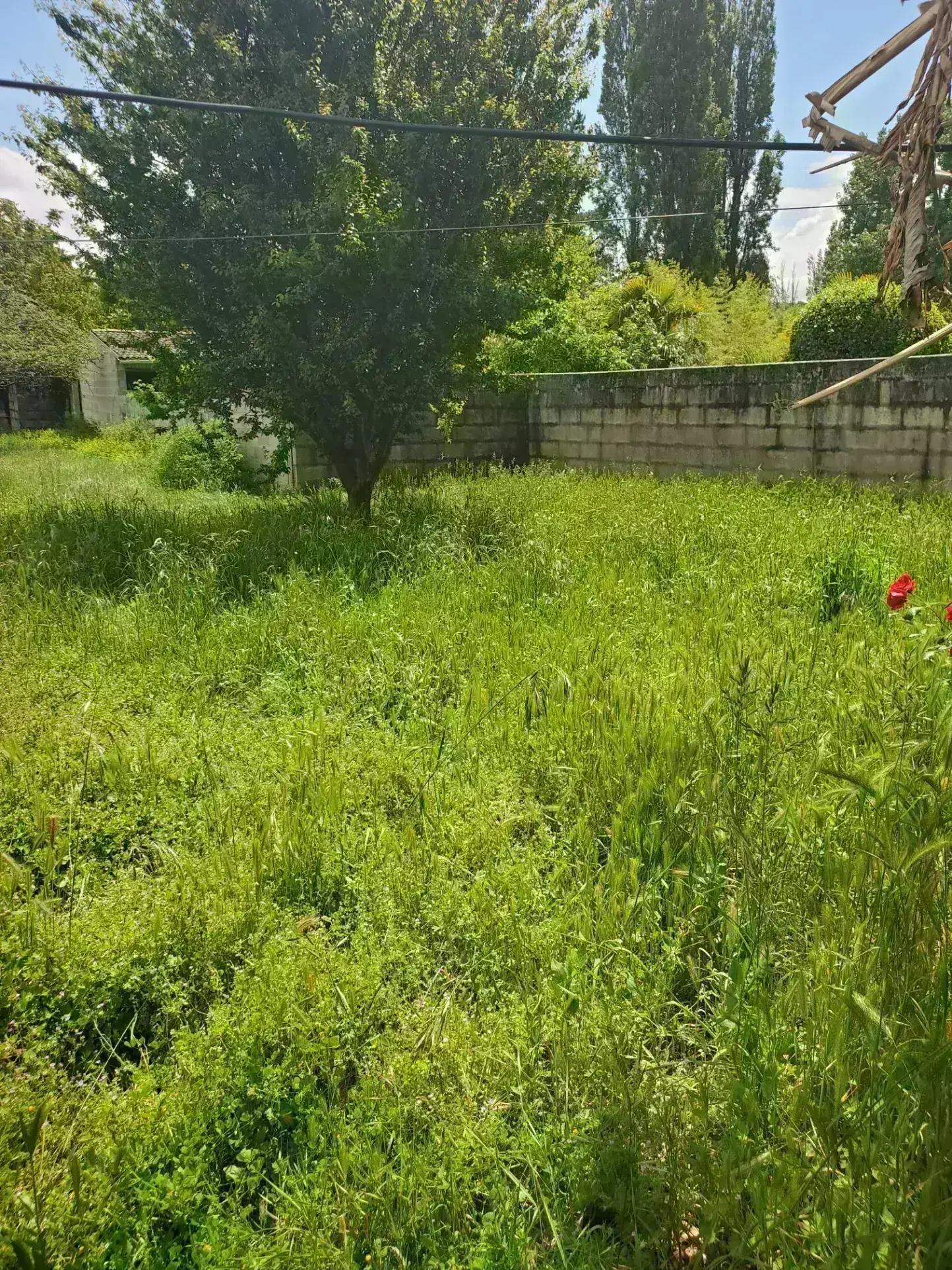 Terrain constructible de 404 m² à Saint-Palais-sur-Mer avec parking sécurisé 