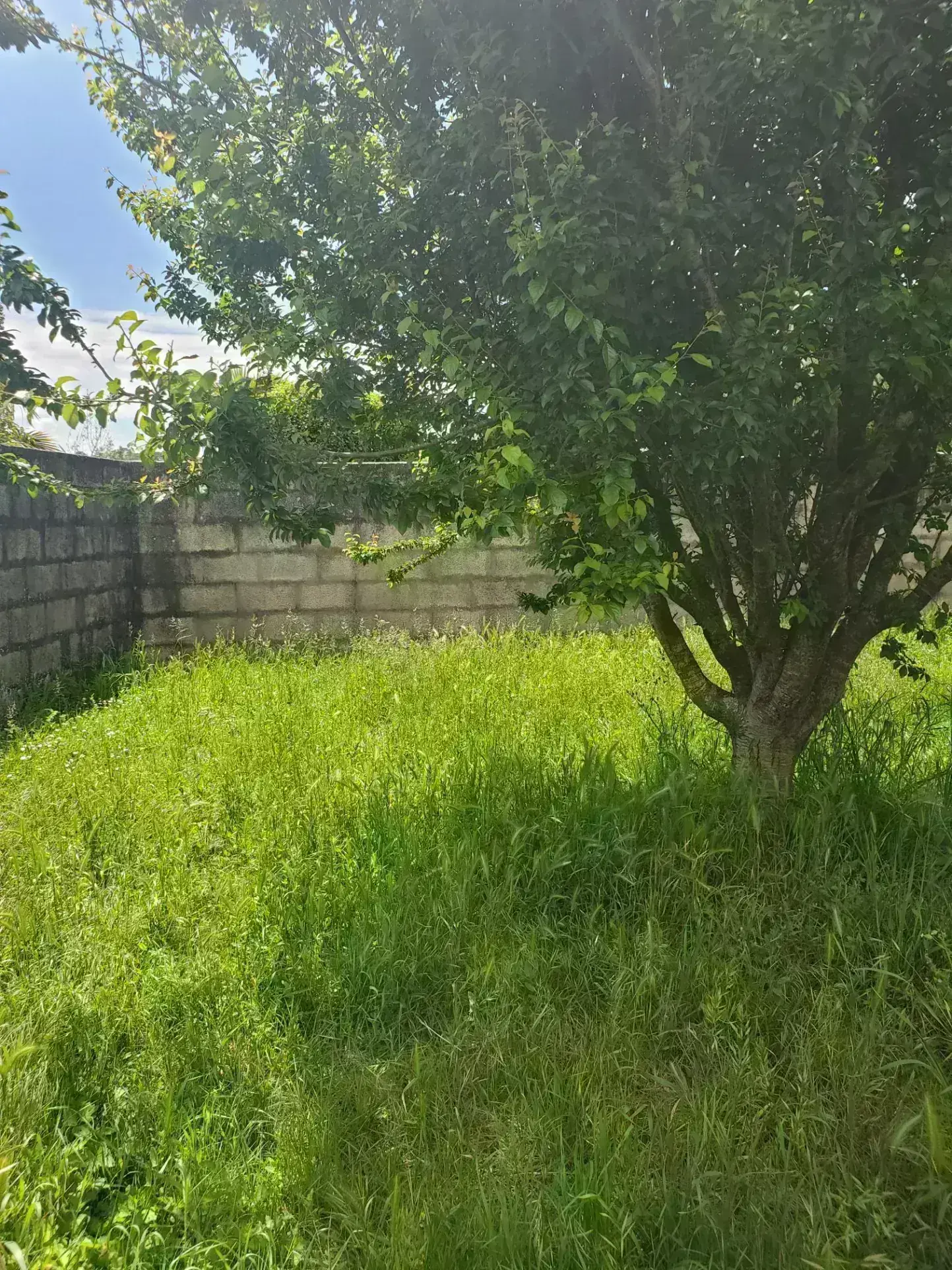 Terrain constructible de 404 m² à Saint-Palais-sur-Mer avec parking sécurisé 