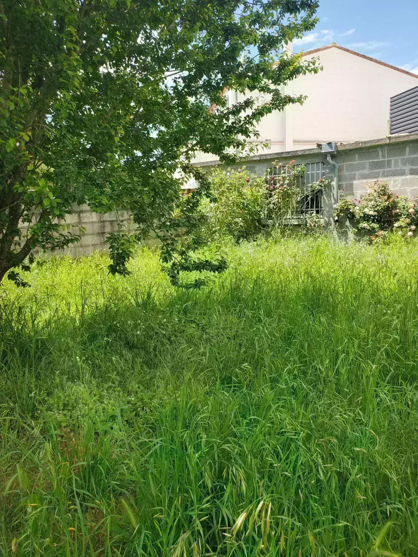 Terrain constructible de 404 m² à Saint-Palais-sur-Mer avec parking sécurisé 