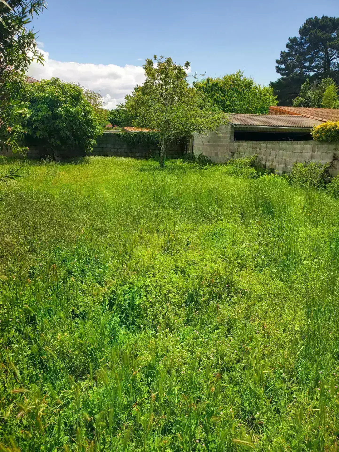 Terrain constructible de 404 m² à Saint-Palais-sur-Mer avec parking sécurisé 