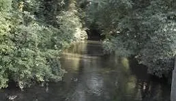 Appartement 2 pièces avec vue sur le quatelbach à Sausheim - Résidence récente 