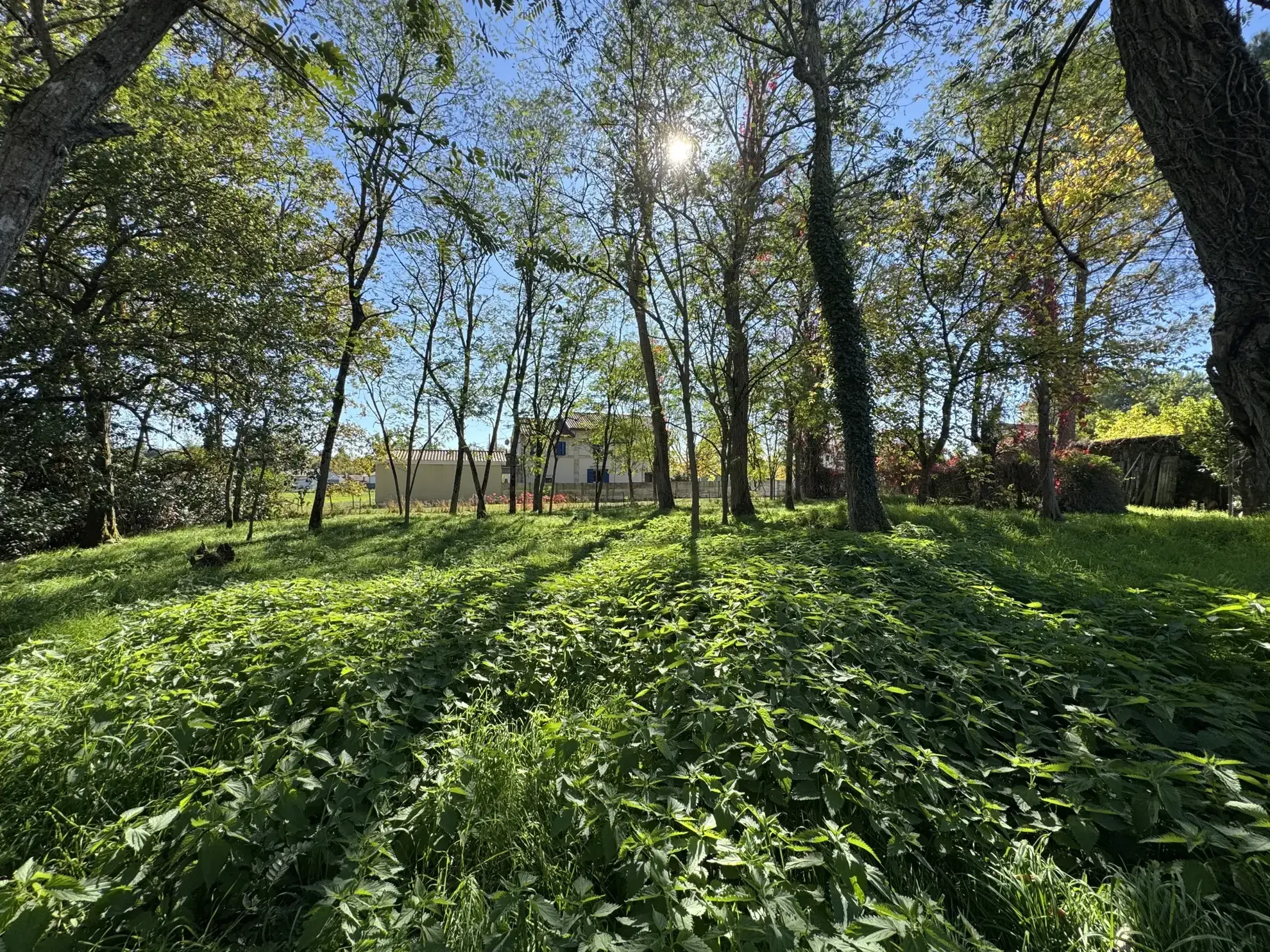 Terrain constructible de 854 m² à vendre à Saint-Yzan-de-Soudiac