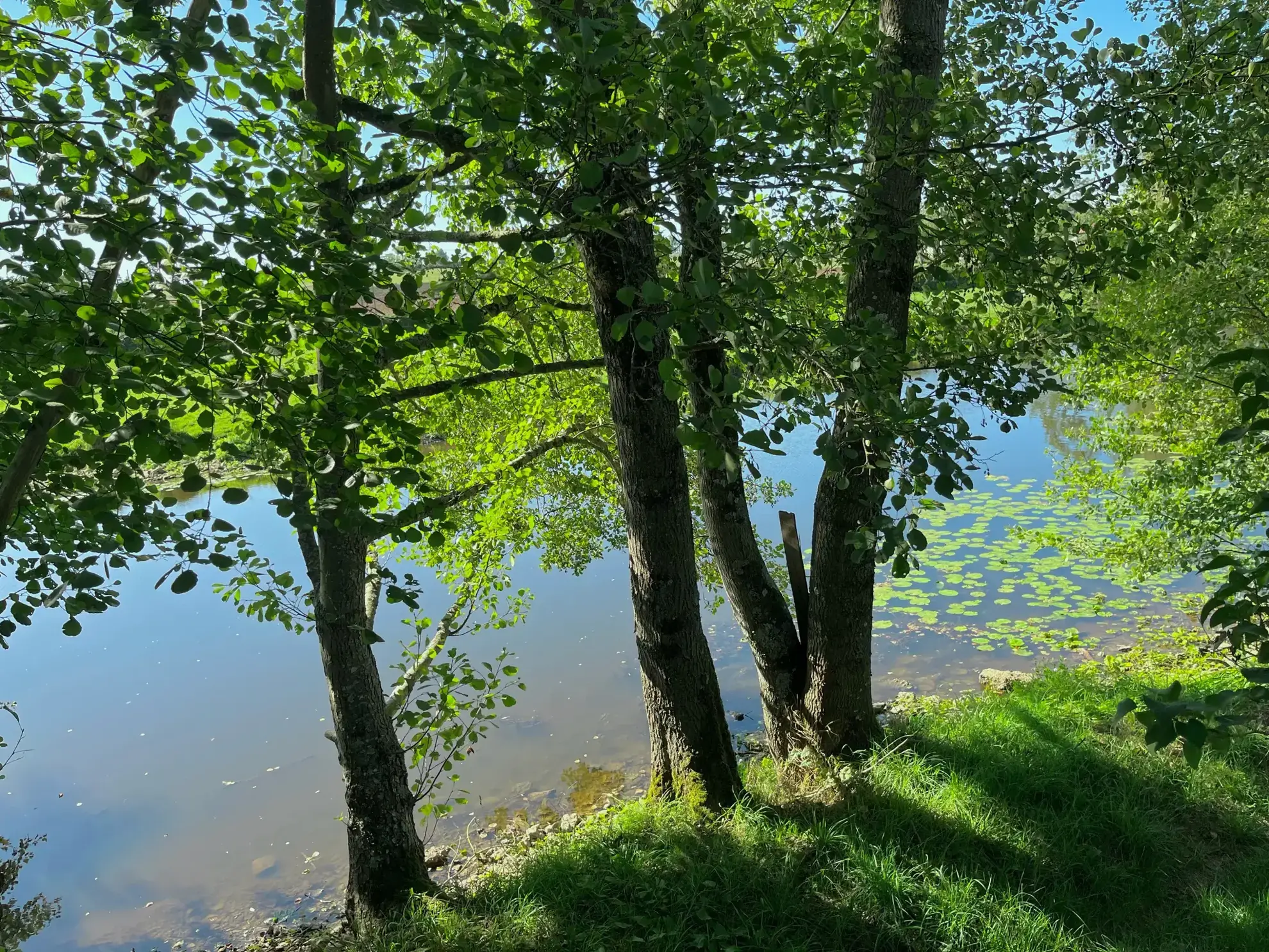Terrain constructible de 7 280 m² avec vue et accès rivière à Guillon en Bourgogne