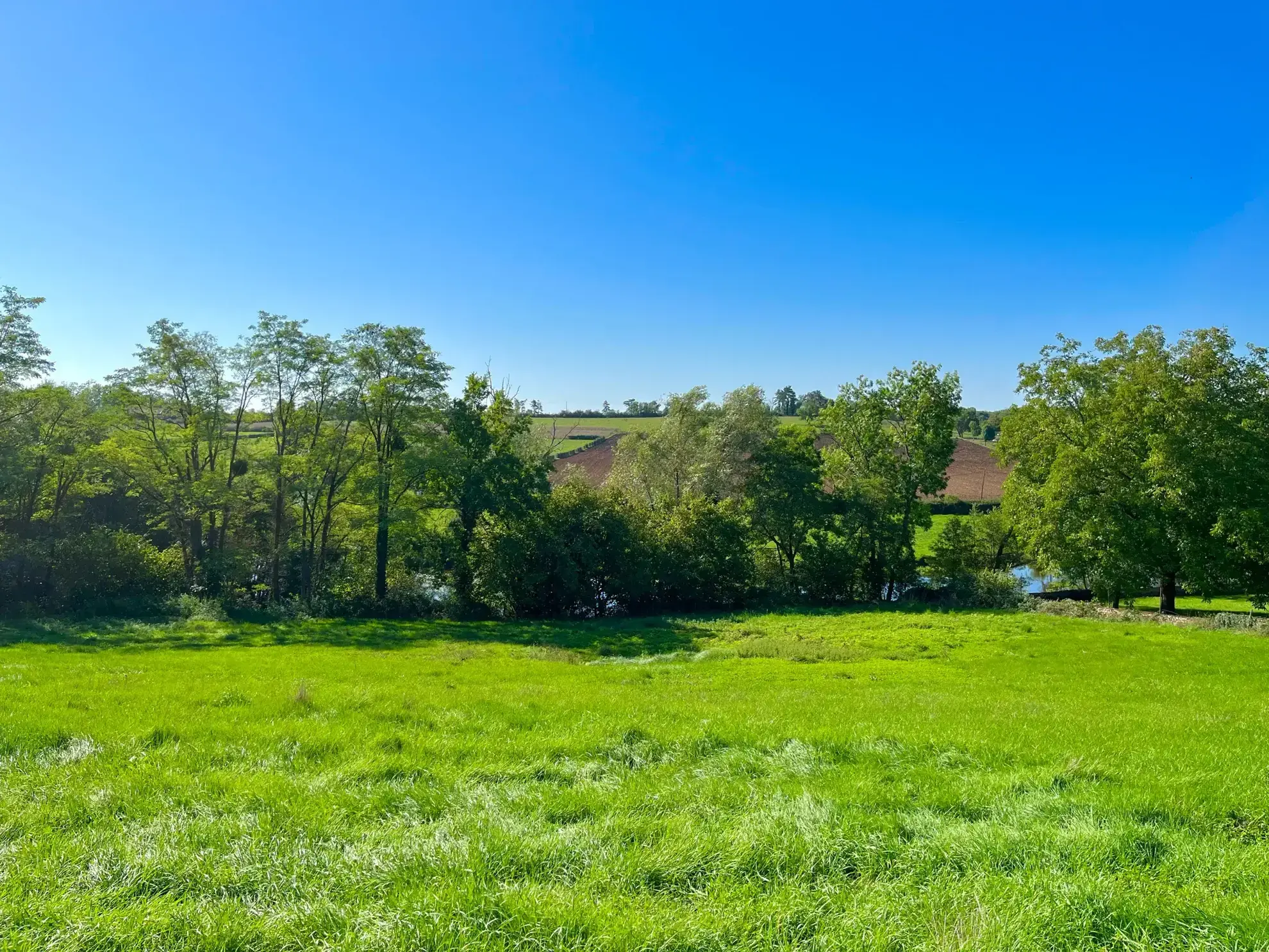 Terrain constructible de 7 280 m² avec vue et accès rivière à Guillon en Bourgogne 