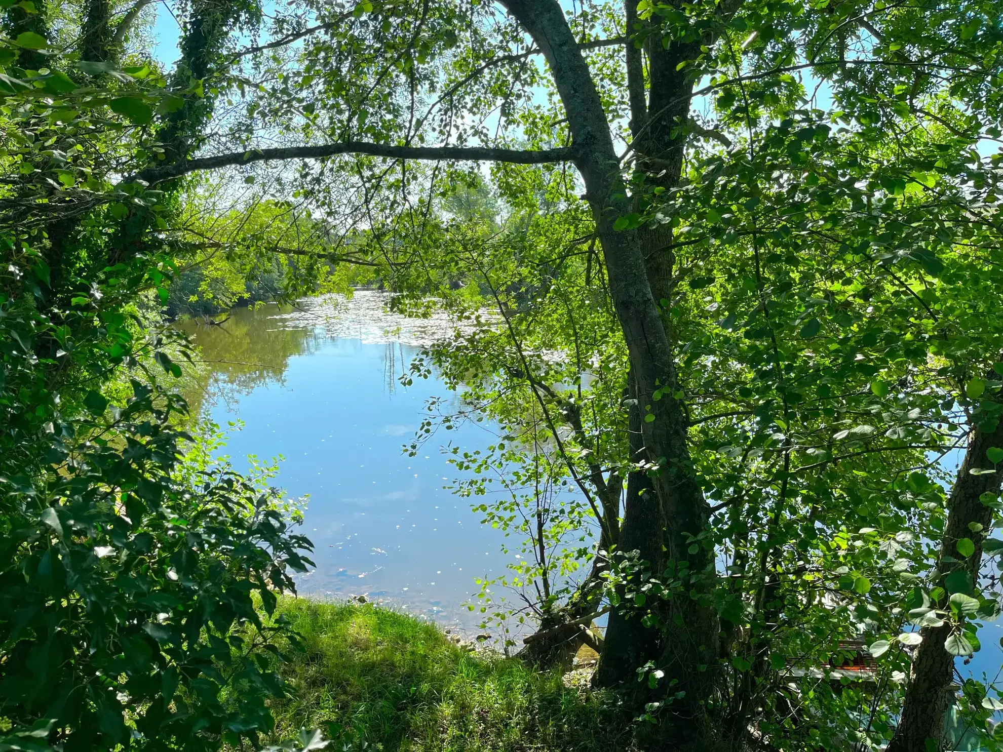 Terrain constructible de 7 280 m² avec vue et accès rivière à Guillon en Bourgogne 