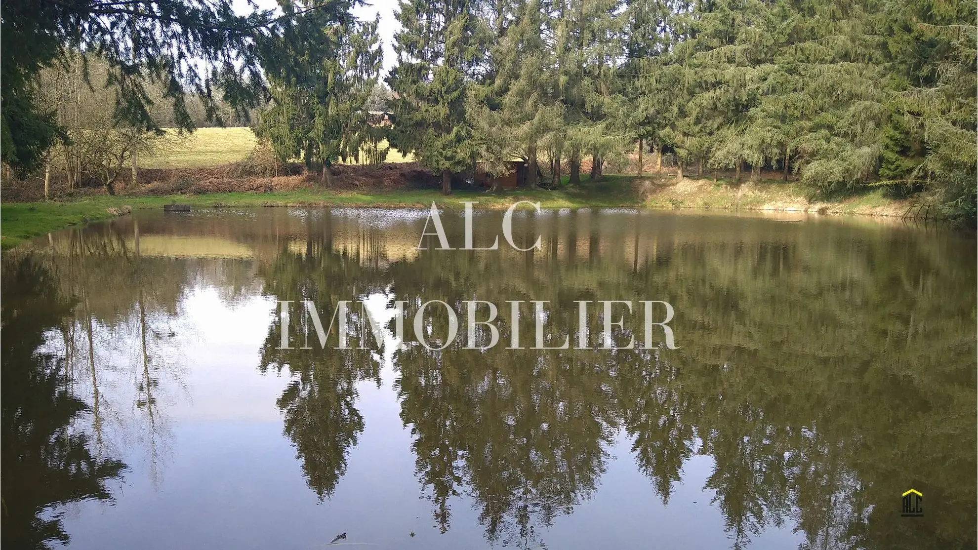 Grand terrain de loisir de 10 109 m² avec étang et cabanon à Loupfougeres