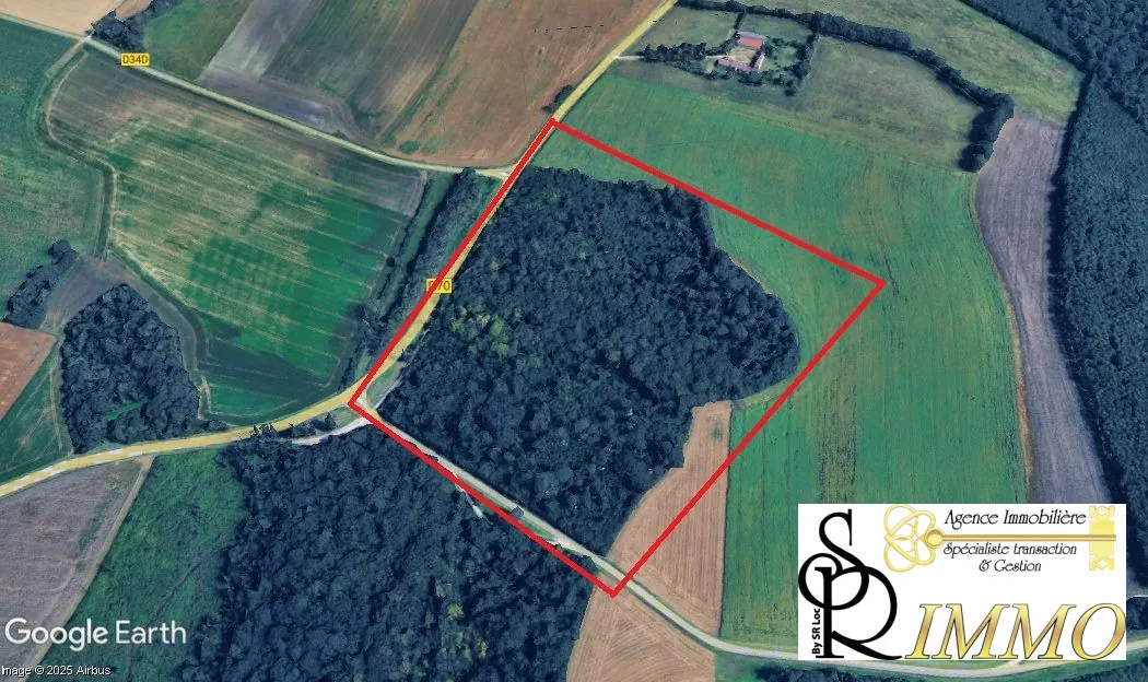 Magnifique terrain boisé de 11,84 hectares à Arceau - Opportunité rare