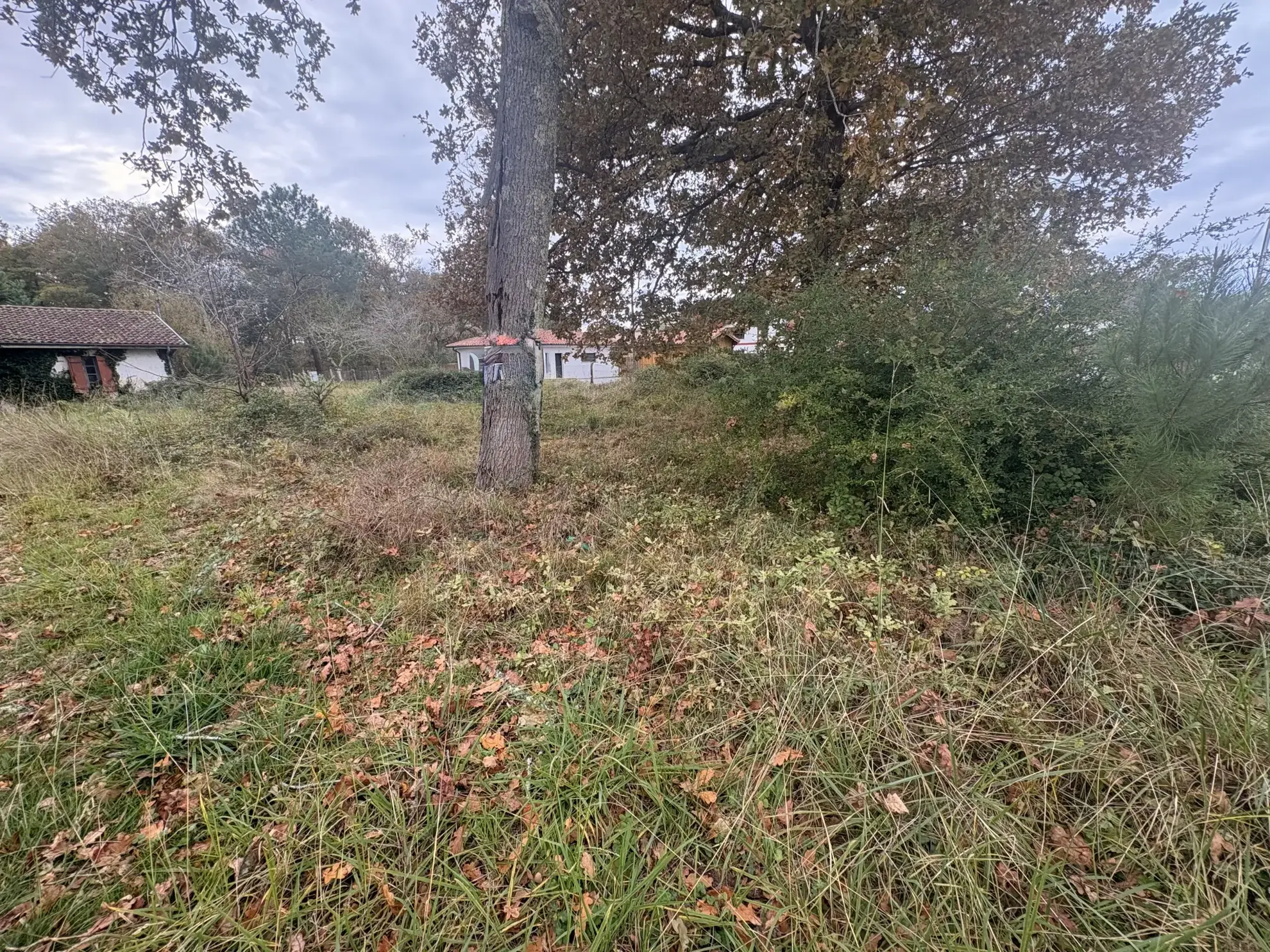 Terrain constructible à Linxe dans les Landes - Opportunité rare