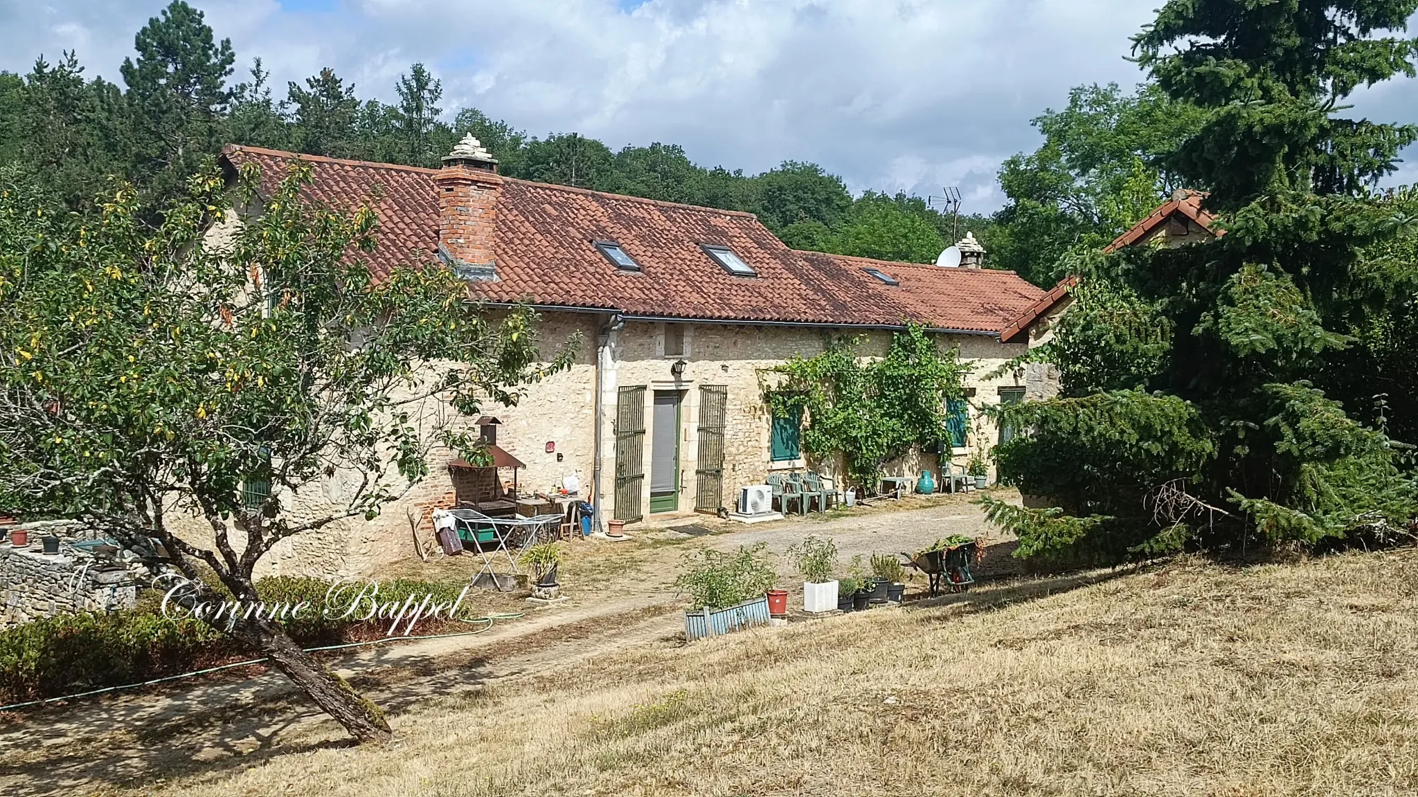 Charmante maison en pierres avec 1,5 ha à Cubjac, Dordogne