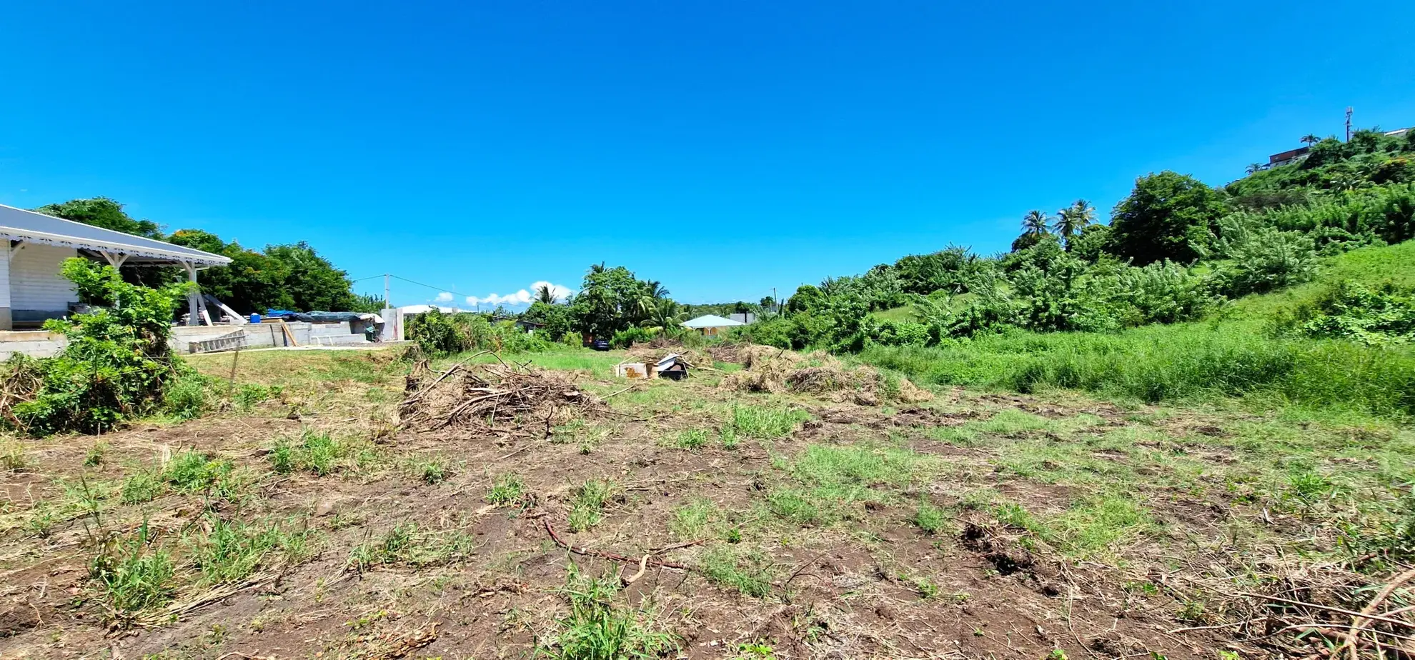 Terrain constructible de 1100 m² à Le Vauclin, zone U4 – Opportunité rare 