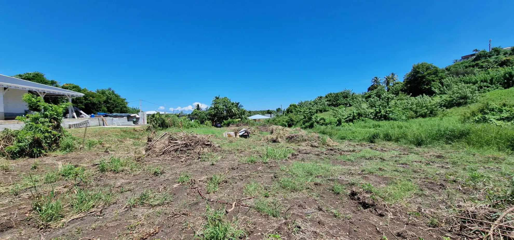 Terrain constructible de 1100 m² à Le Vauclin, zone U4 – Opportunité rare 