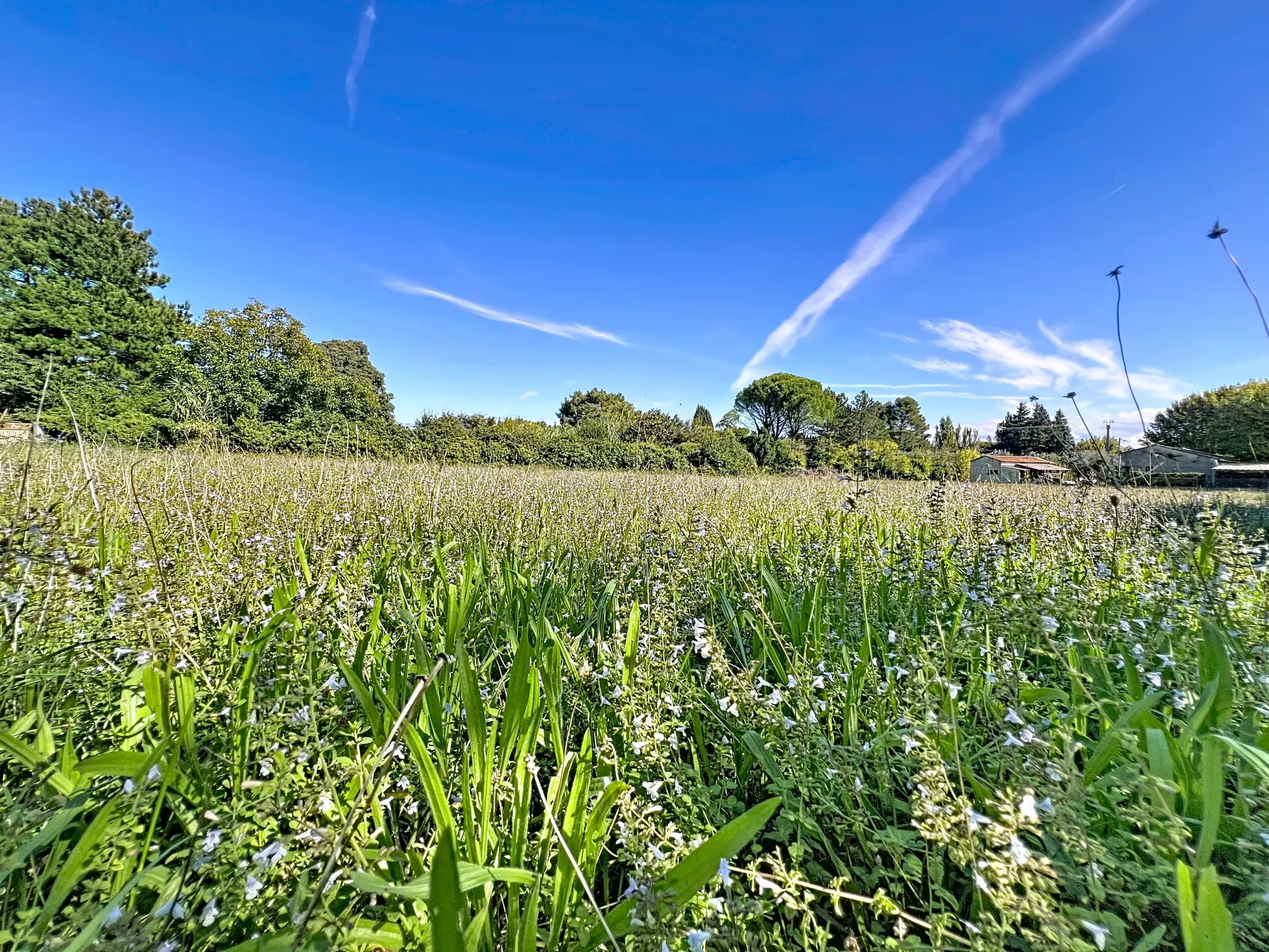Terrain constructible de 401 m² à Châteauneuf-de-Gadagne – Secteur résidentiel et viabilisé 