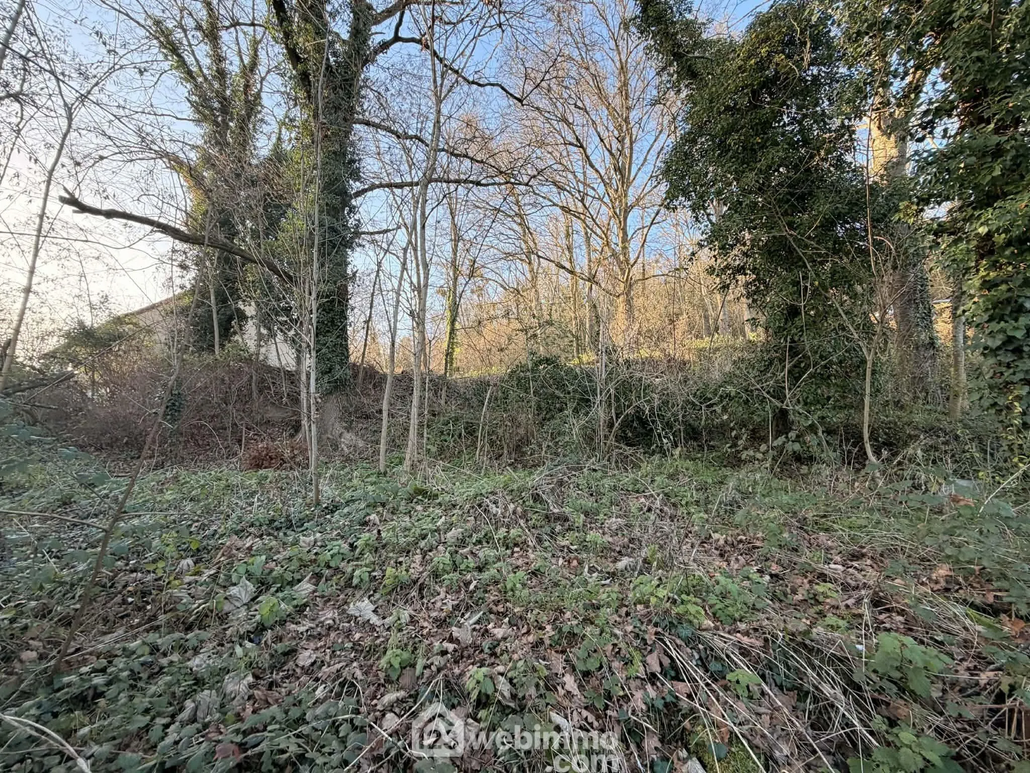 Terrain constructible de 2 698 m² à Laon – Cadre naturel et tranquillité 