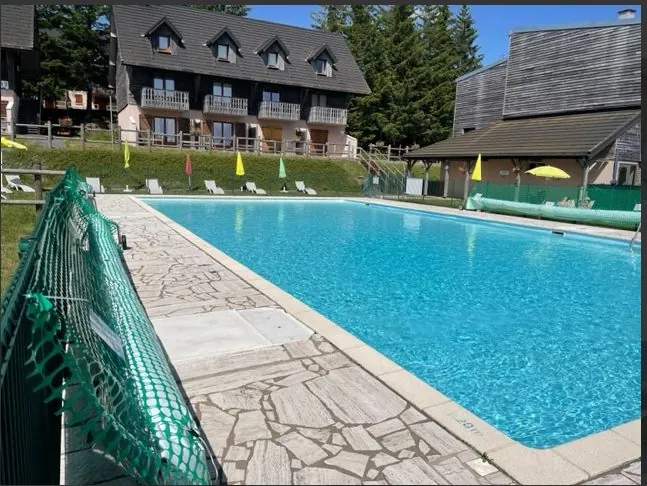 Appartement T1/2 meublé avec vue montagne et piscine à Besse-et-Saint-Anastaise 