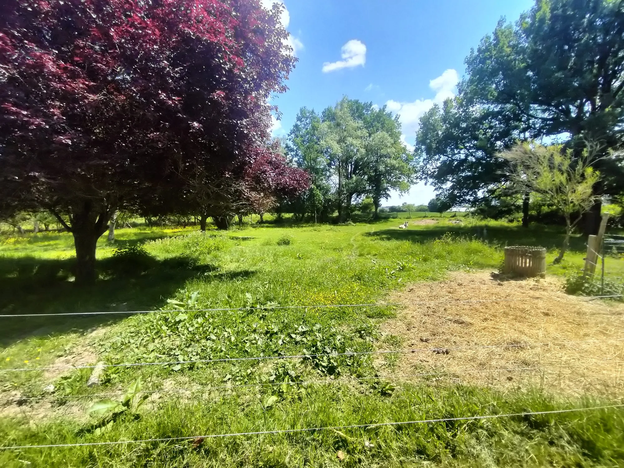 Maison de campagne avec maisonnette à Montval-sur-Loir - 87 m², terrain 13 300 m² 