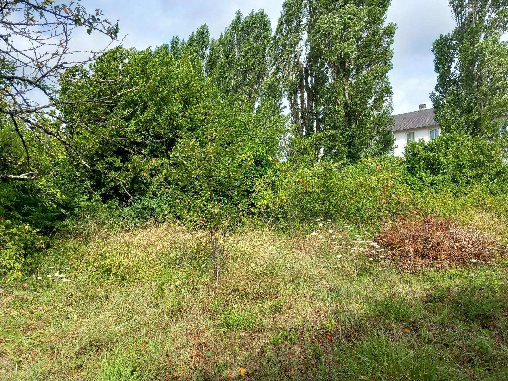 Terrain constructible à Bourgueil 1 241 m², idéal investissement ou résidence principale