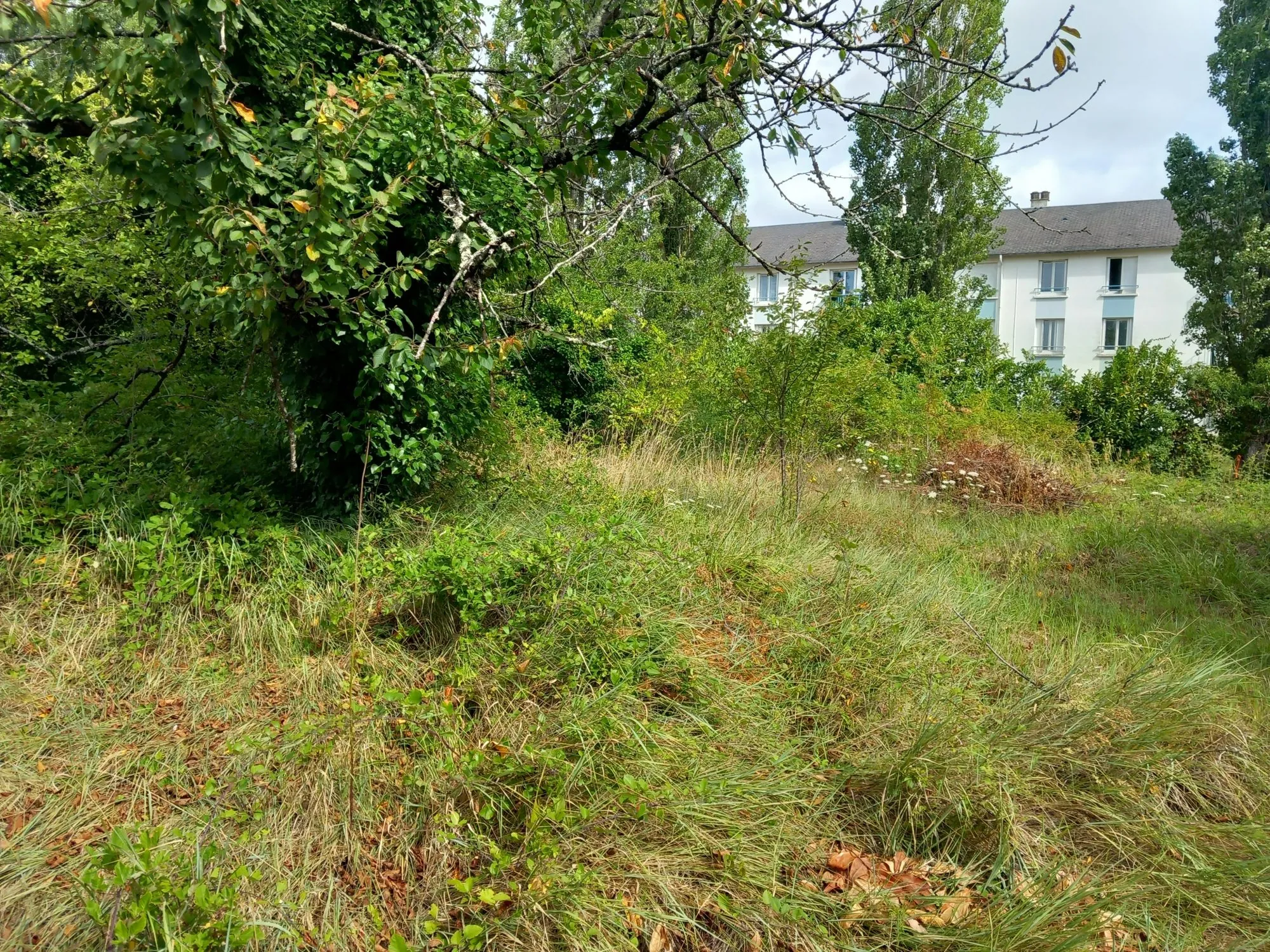 Terrain constructible à Bourgueil 1 241 m², idéal investissement ou résidence principale 