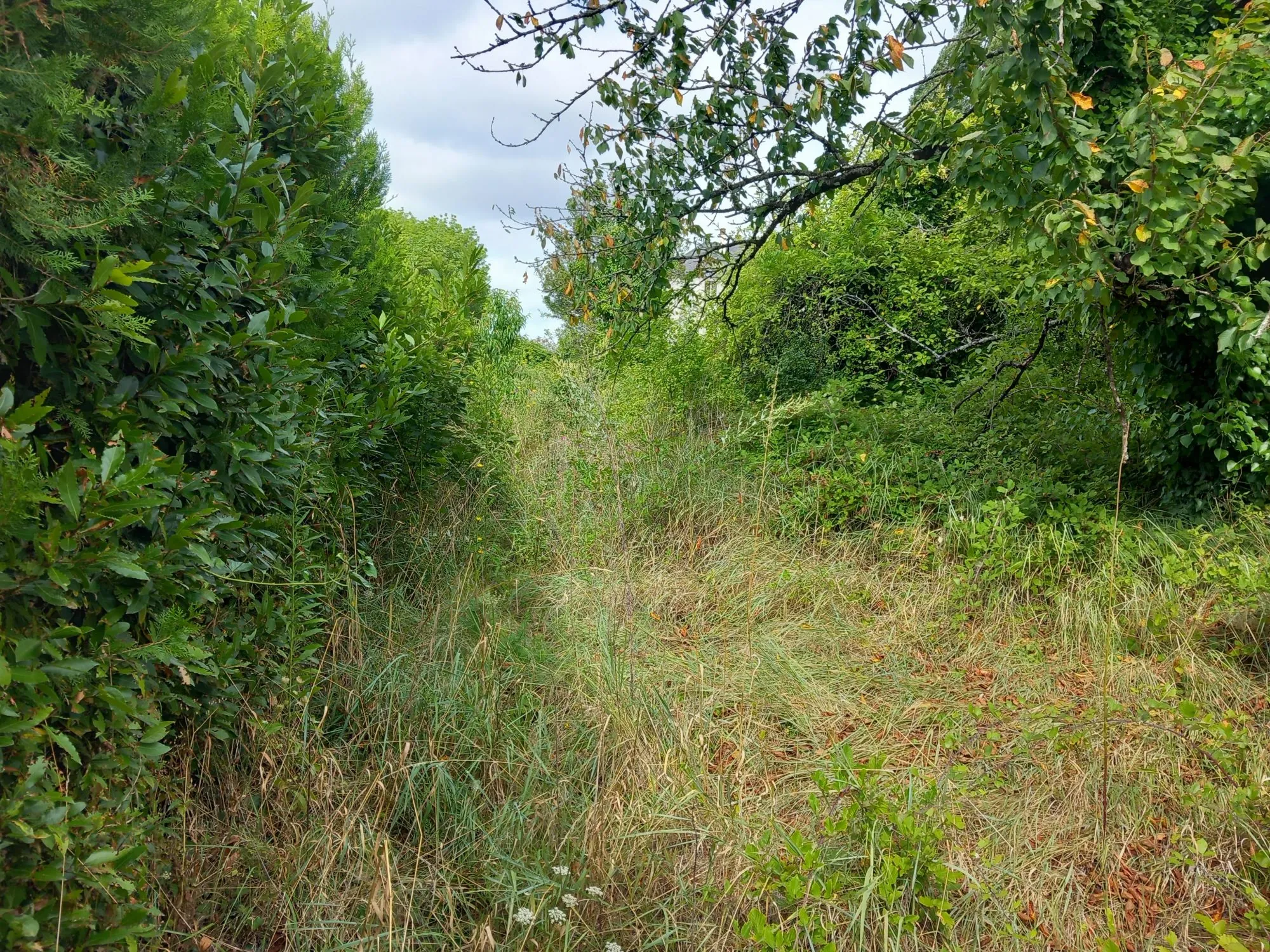 Terrain constructible à Bourgueil 1 241 m², idéal investissement ou résidence principale 