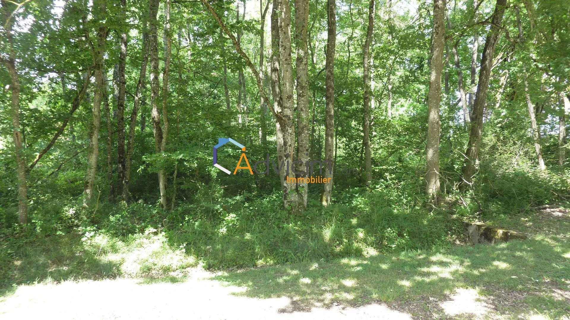 Terrain constructible boisé à Courtenay 45320, environnement calme et résidentiel 