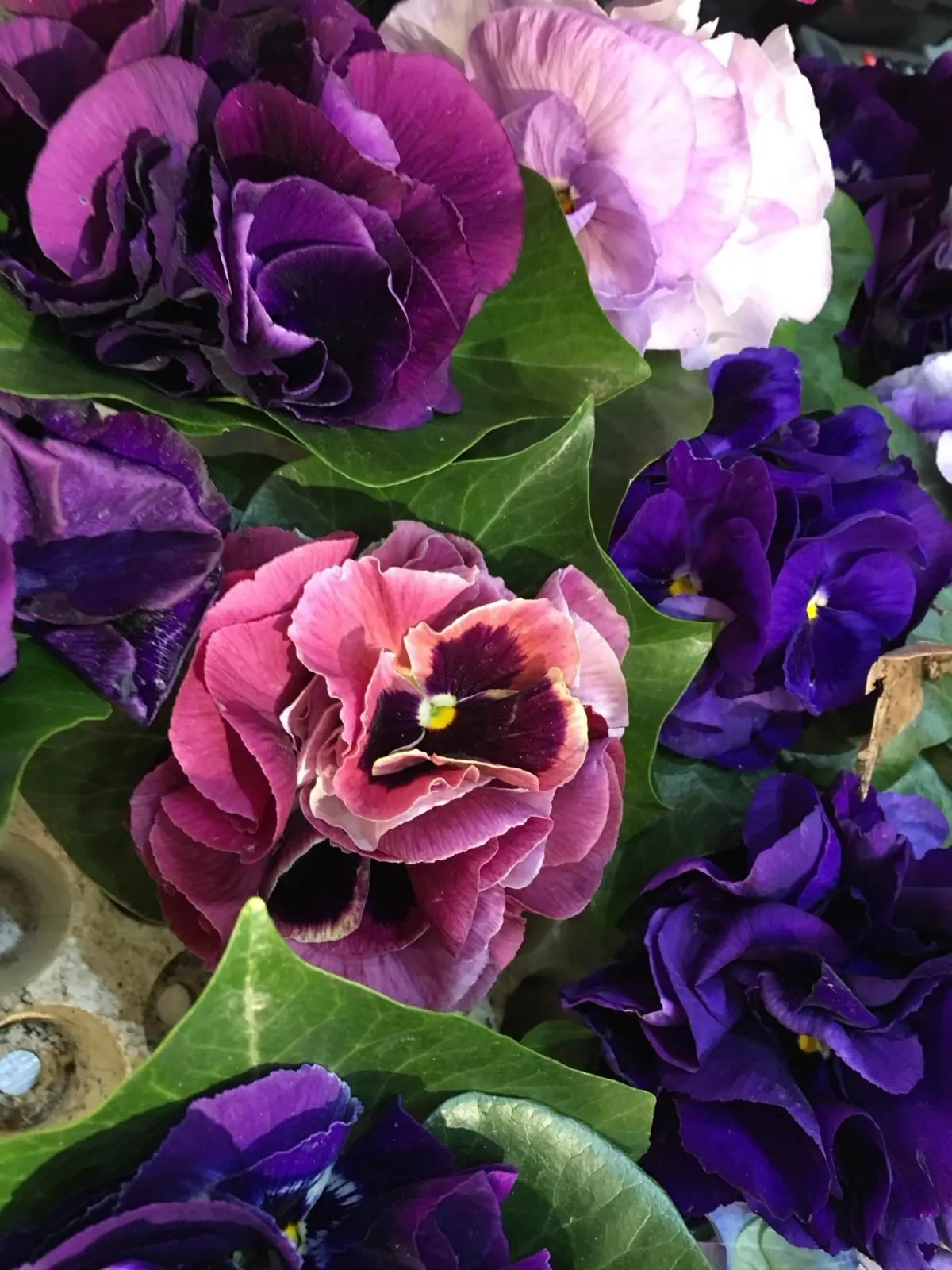 Fleuriste traditionnel avec jardin à vendre dans le 14e arrondissement de Paris