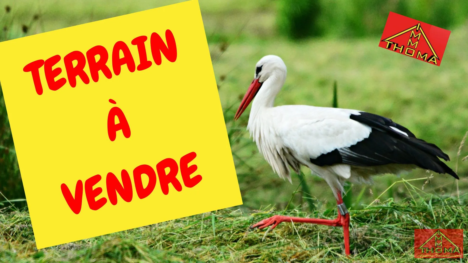 Terrain constructible viabilisé de 787 m² à Berentzwiller - Cadre paisible et pratique