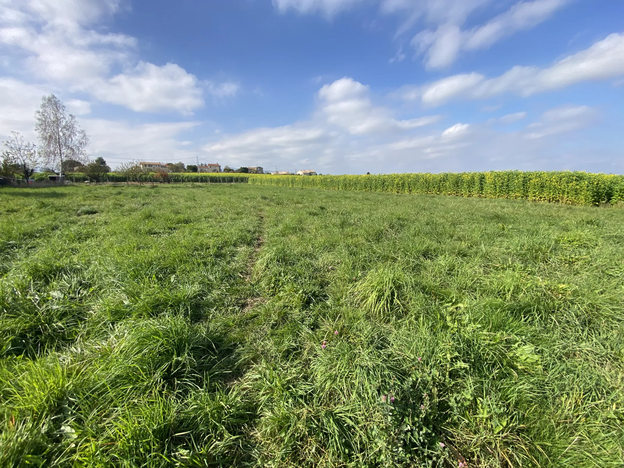 Terrain constructible plat de 987 m2 à Eclassan, Ardèche 