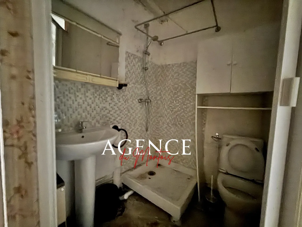 Maison à rénover avec jardin à Donnemarie-Dontilly – Faible performance énergétique 