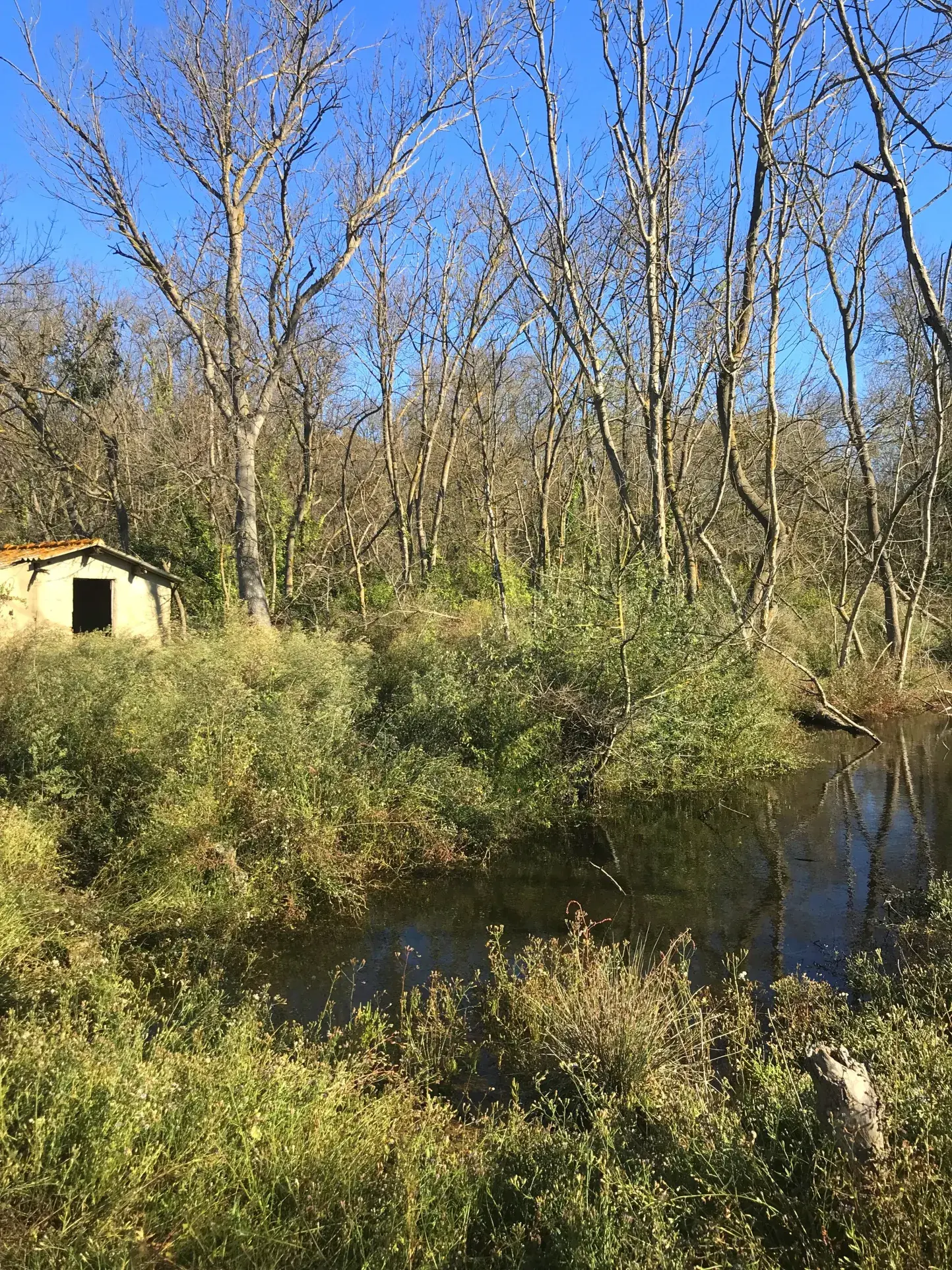 Terrain de loisir à Mauguio avec Mazet de 25 m² près de l'étang de l'Or 