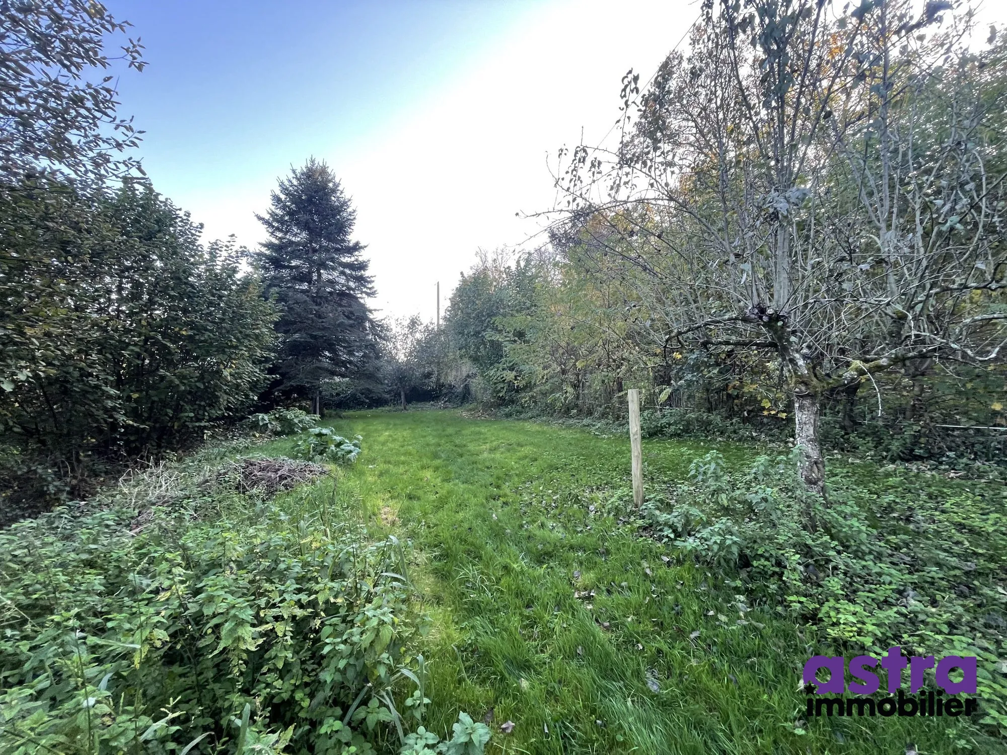 Terrain de 600 m² à Mertzen à vendre - Opportunité à saisir