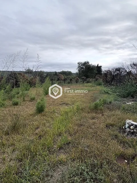 Terrain agricole de 580 m² à Estagel, idéal pour jardin ou verger