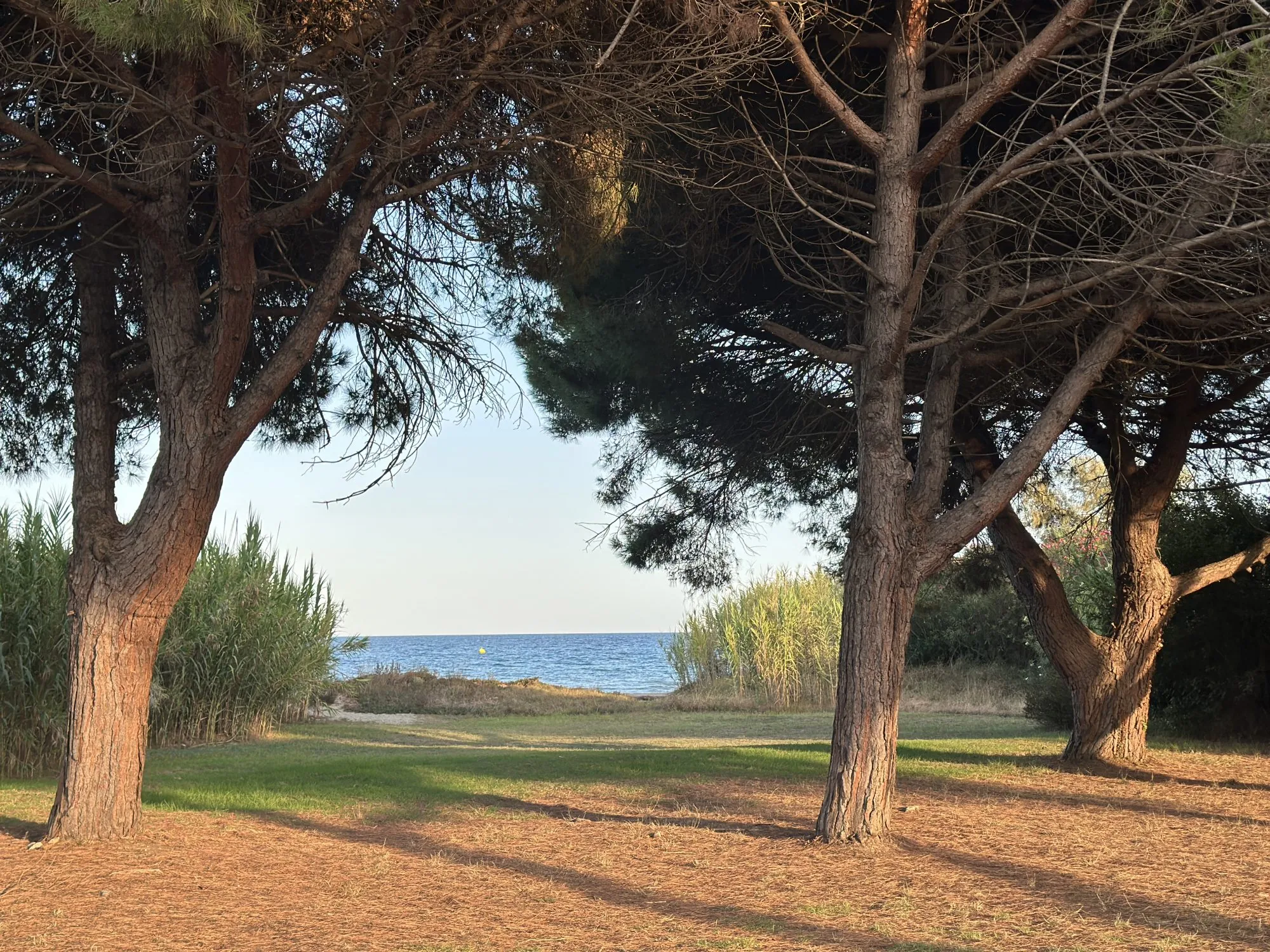 Appartement T2 en rez-de-chaussée avec terrasse et piscine à Poggio-Mezzana