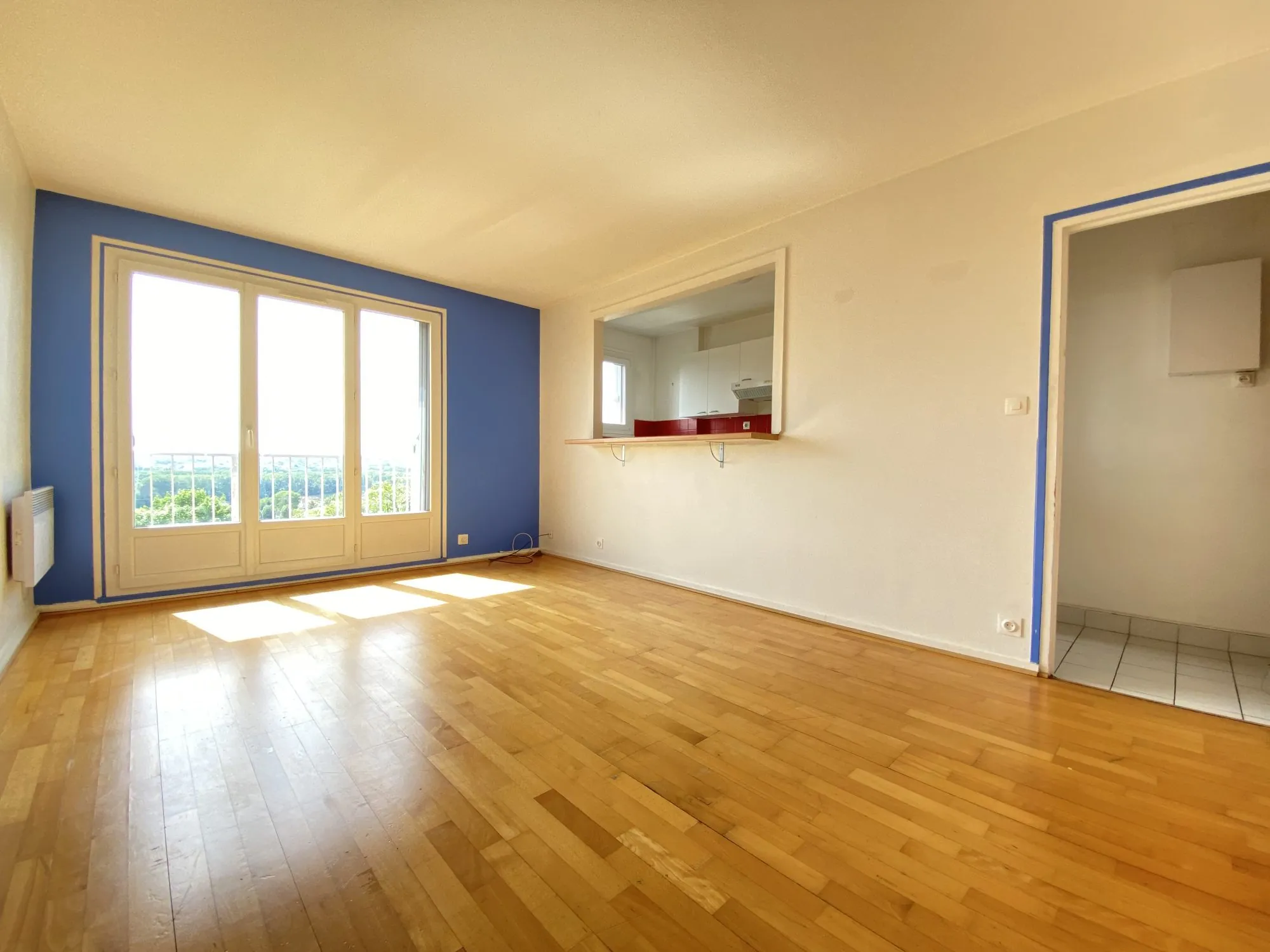 Charmant appartement T2 à vendre à Athis-Mons, lumineux et bien situé